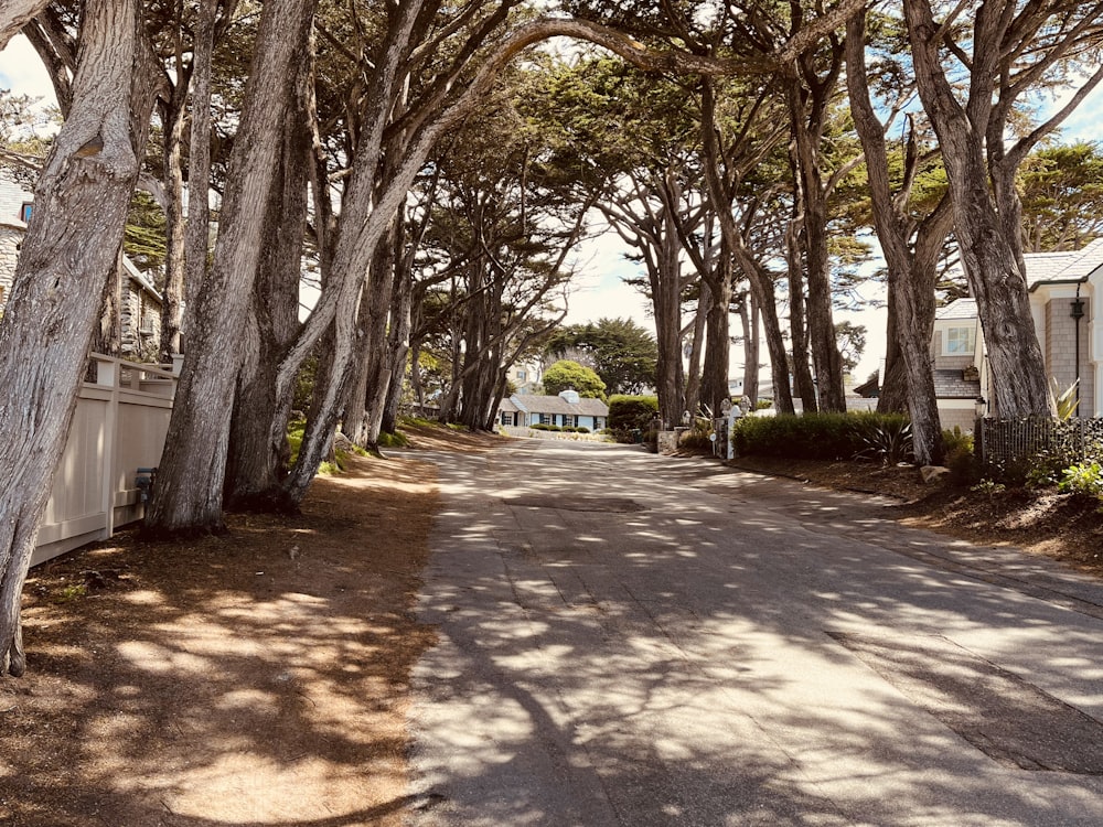 a street lined with lots of trees next to houses