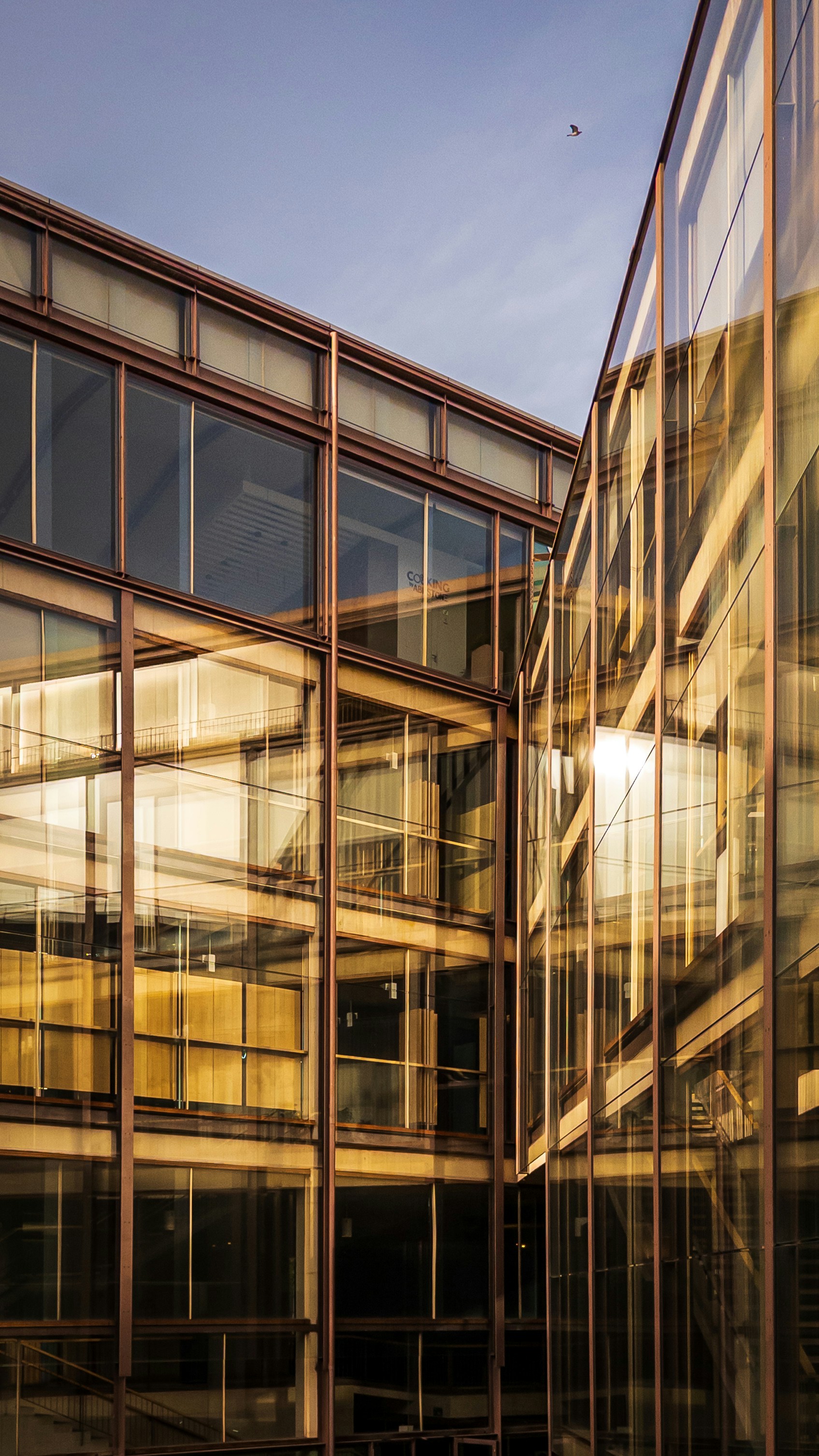 Photo by adrianmlopez