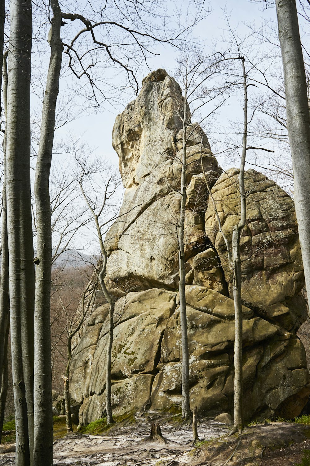 a large rock in the middle of a forest