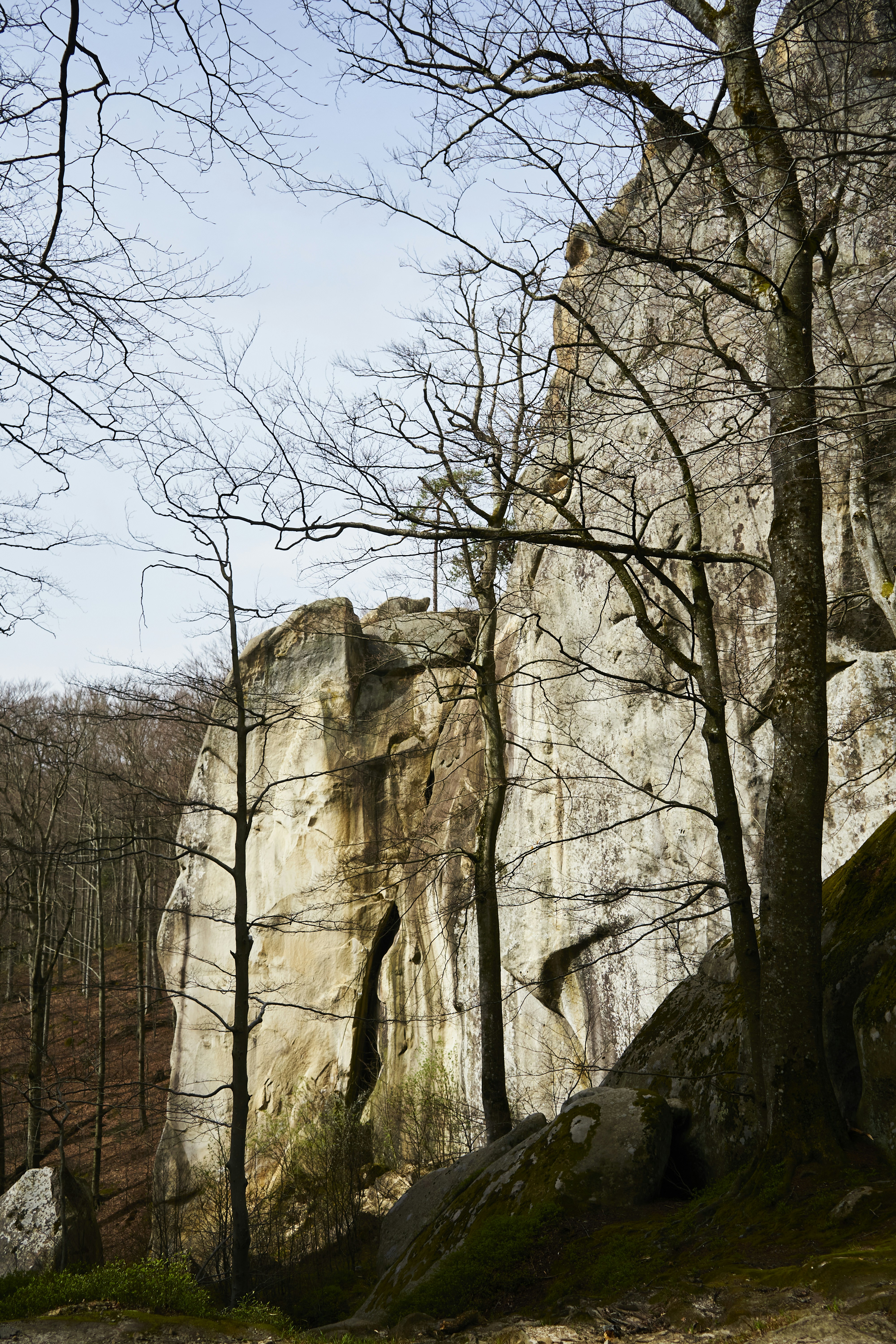 a large rock formation with trees in the foreground