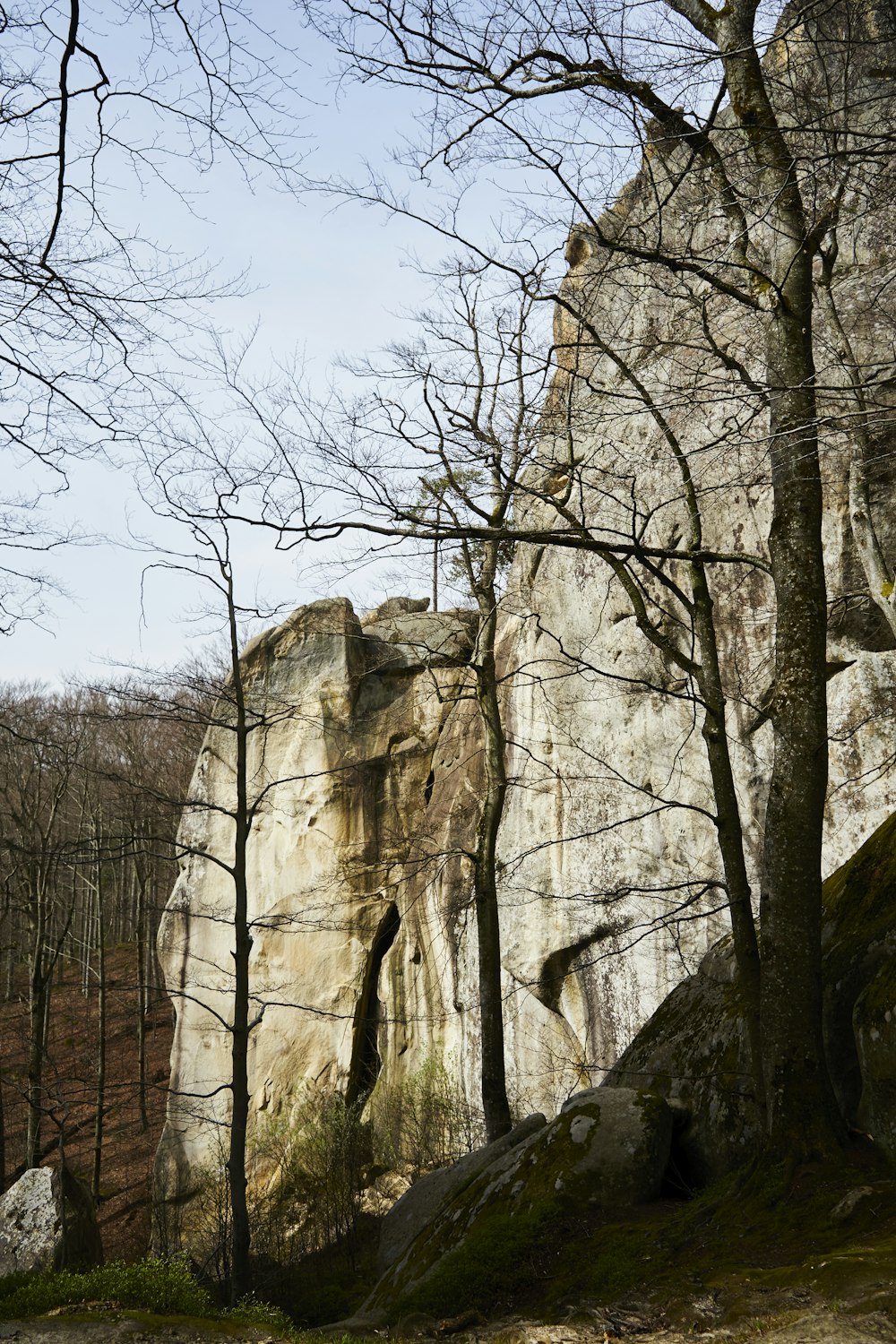 a large rock formation with trees in the foreground