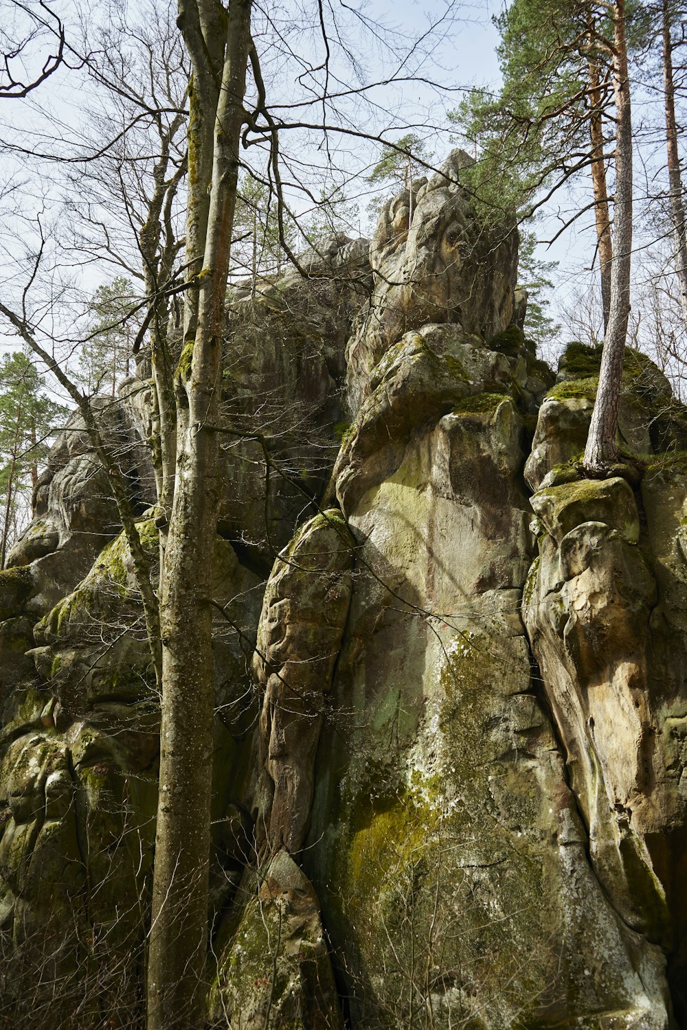 a large rock formation in the woods with trees