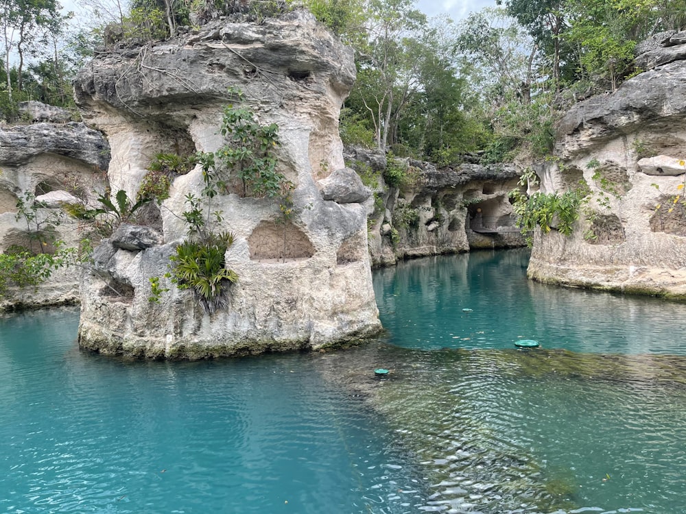 a body of water surrounded by rocks and trees