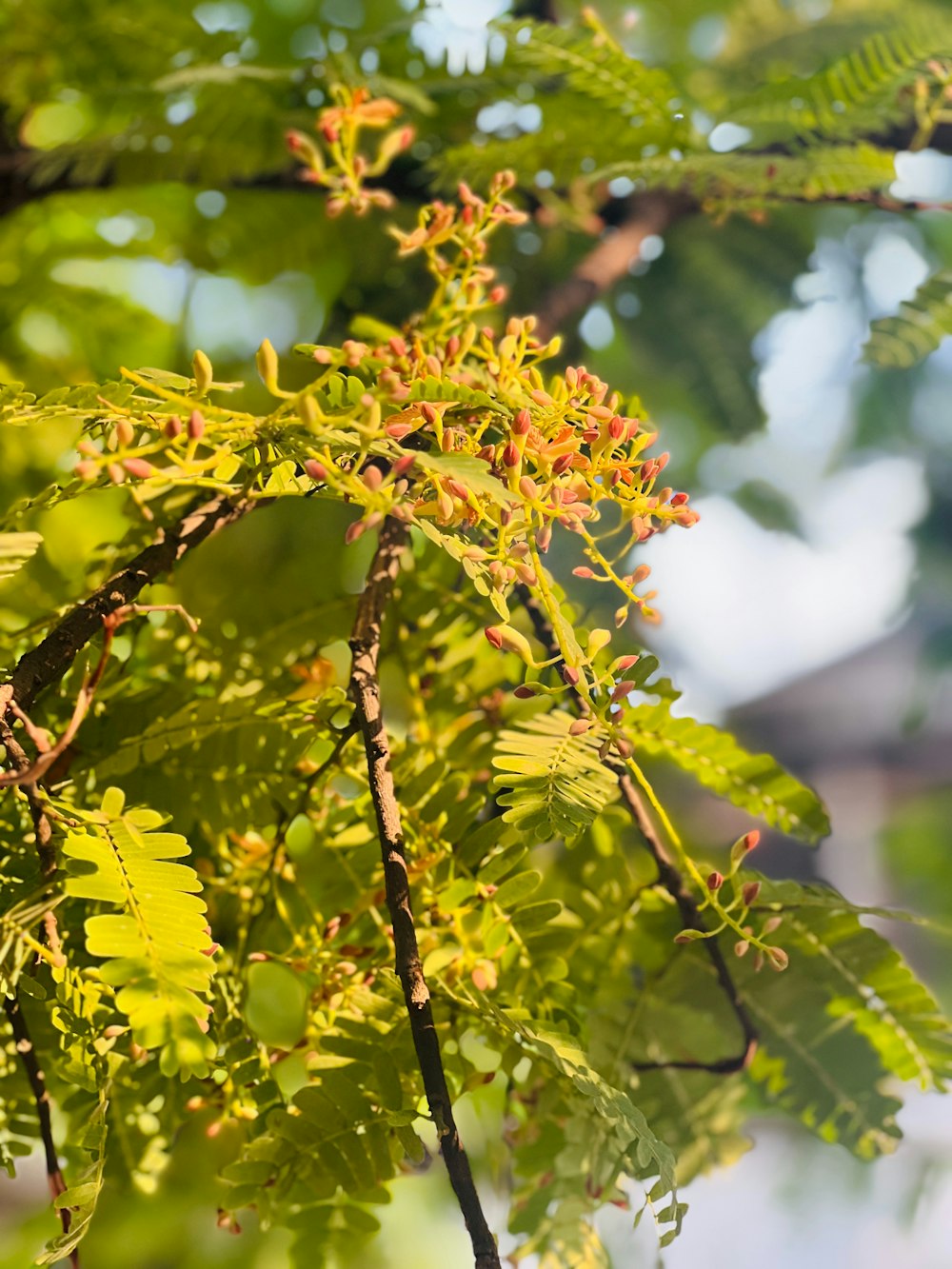 a bird perched on top of a tree branch