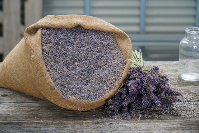 a bag of lavender next to a bunch of lavender flowers