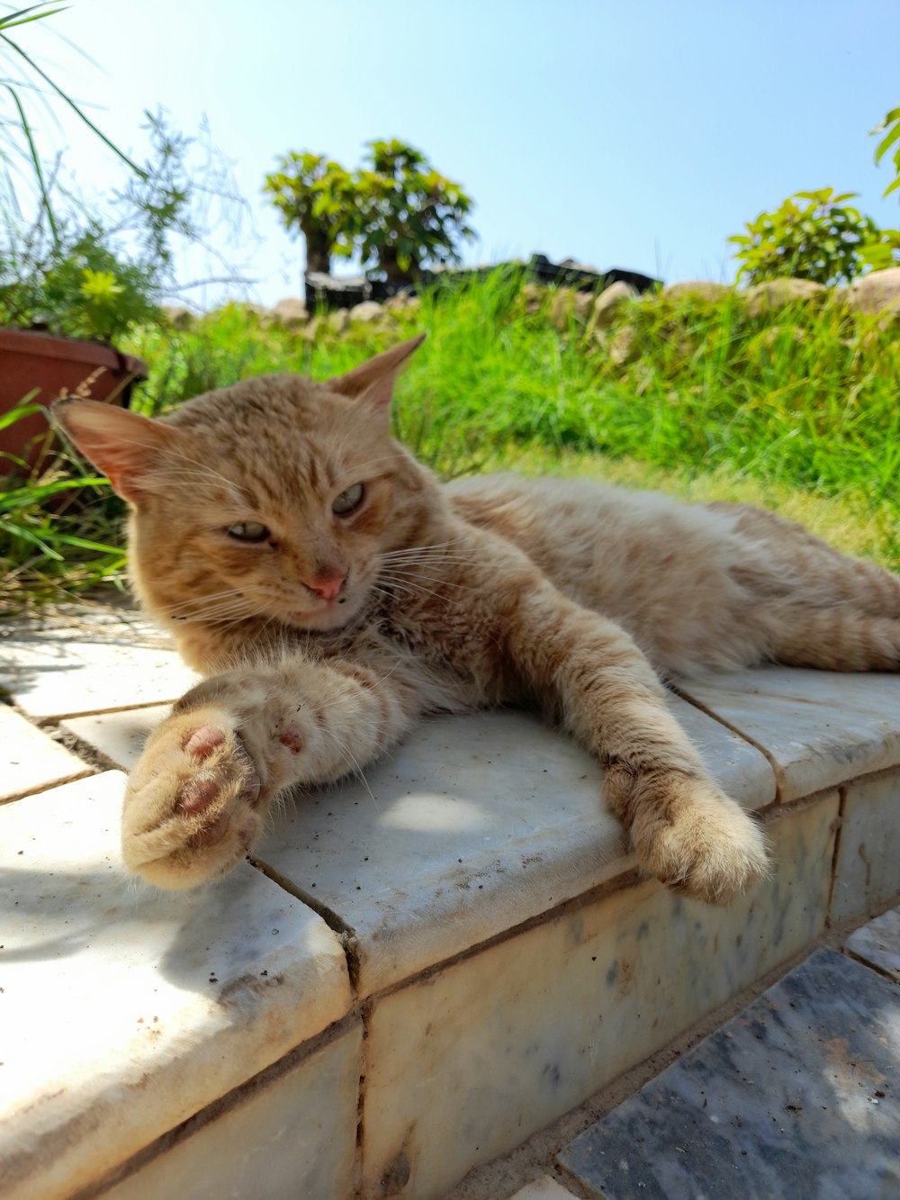 an orange cat laying on top of a stone bench