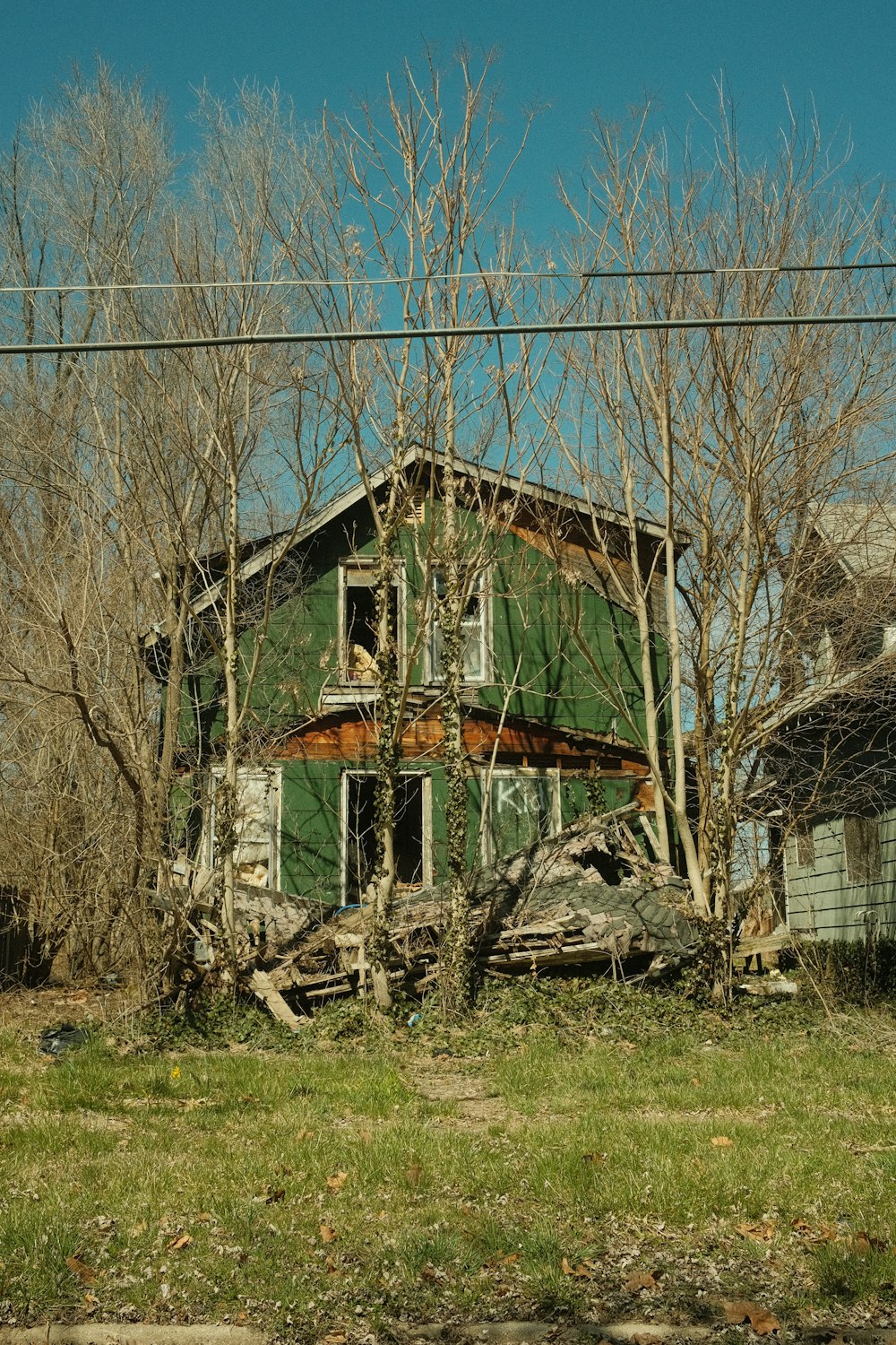 a green house sitting next to a bunch of trees