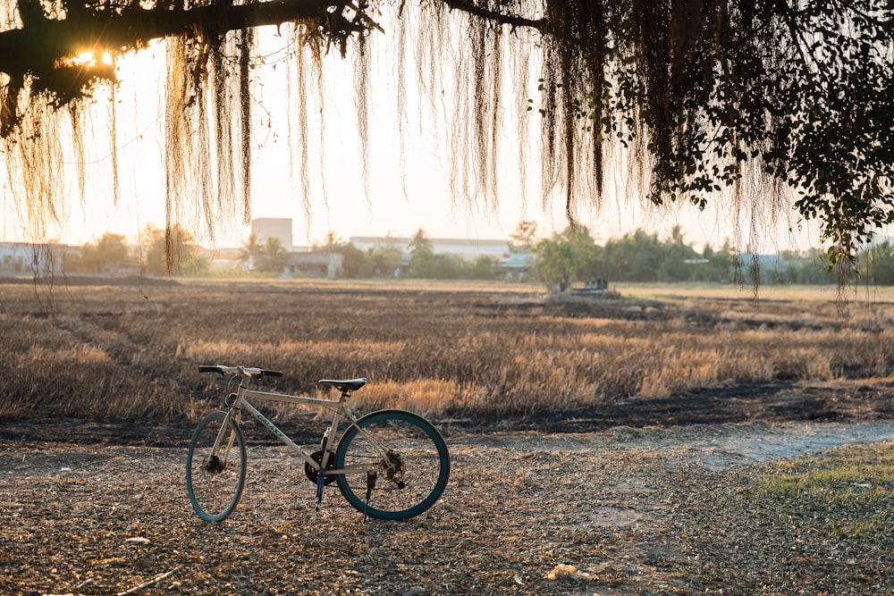 a bike parked under a tree in a field