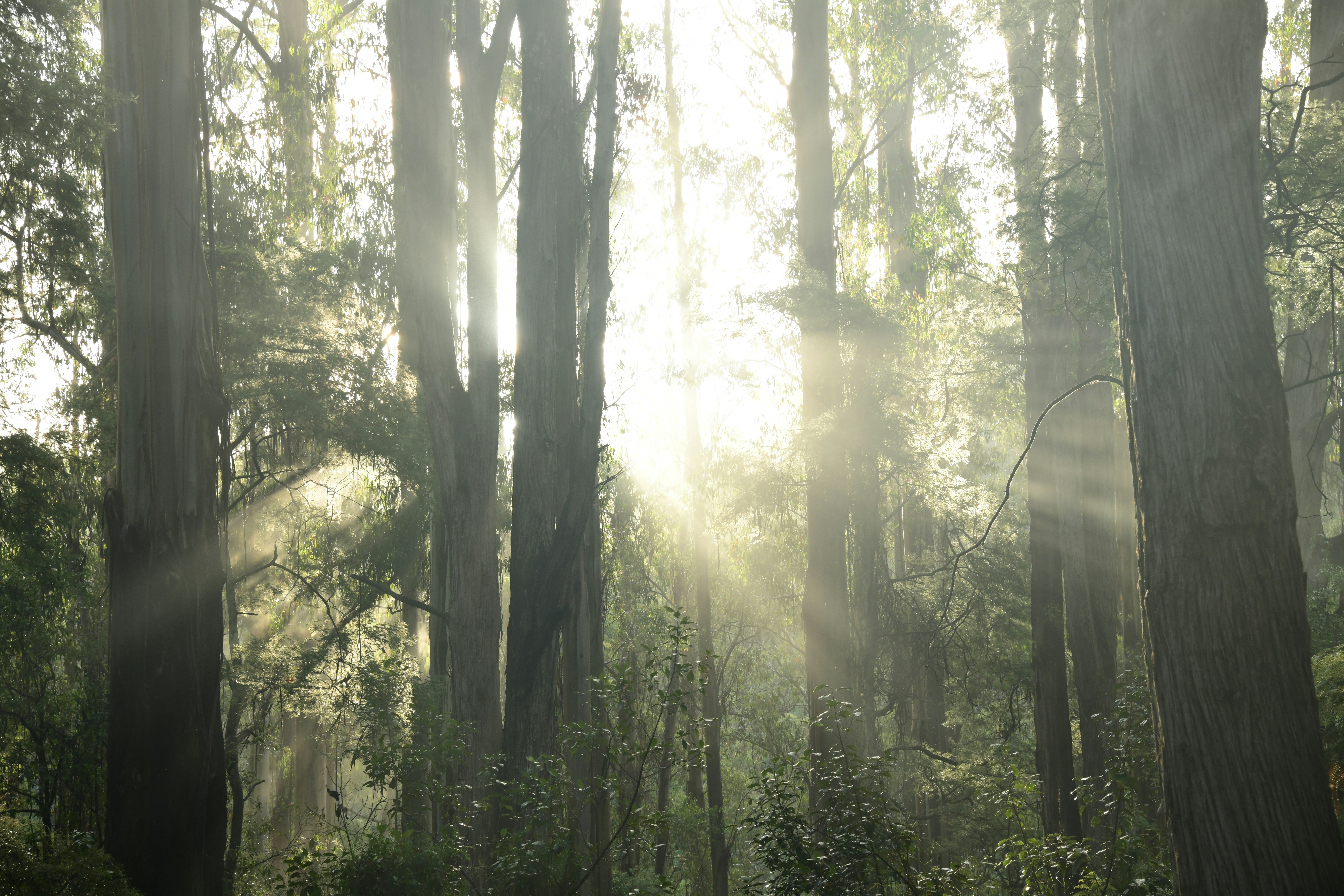 Photo by richard7seals