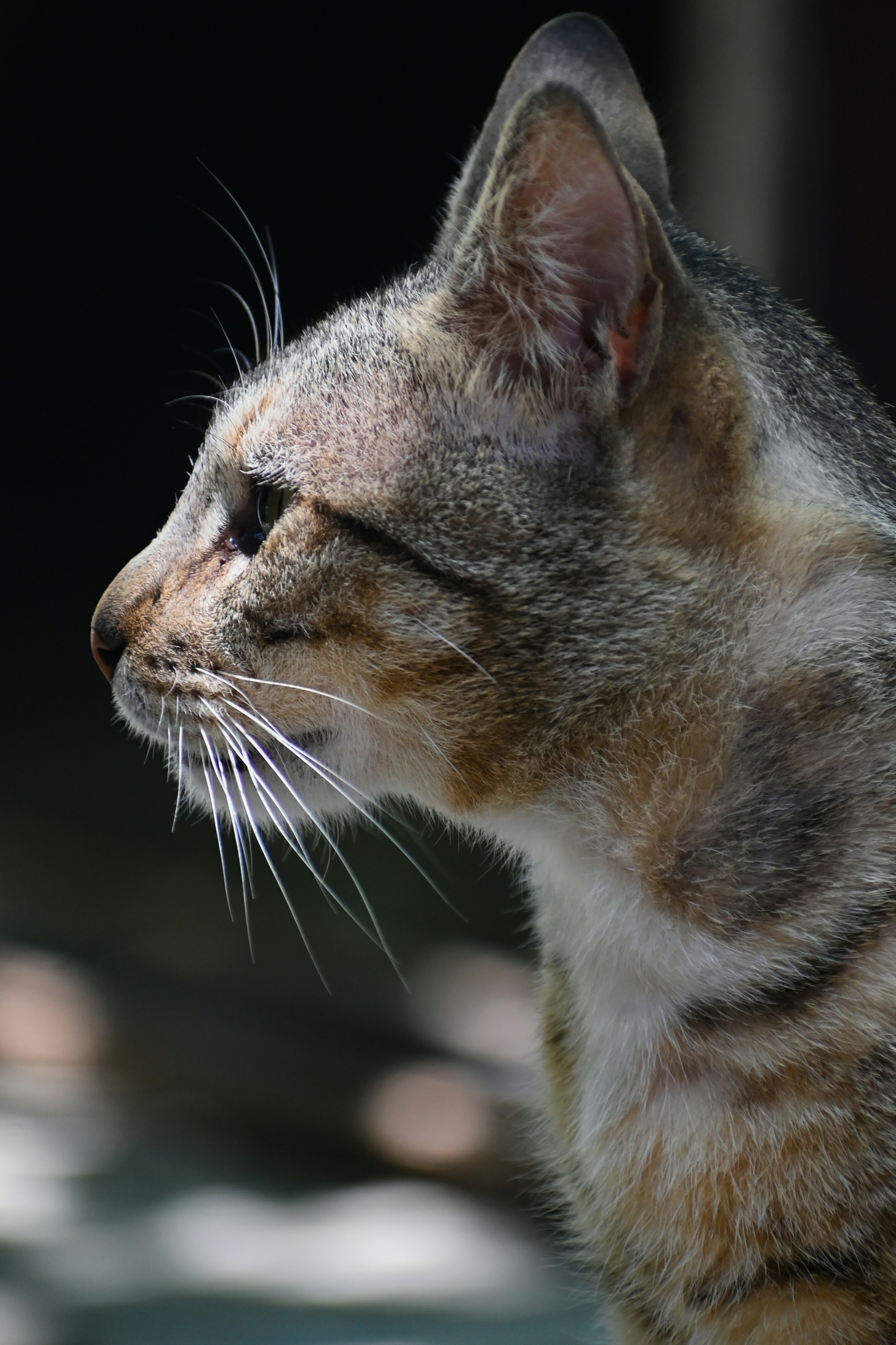 Photo by guzman123456