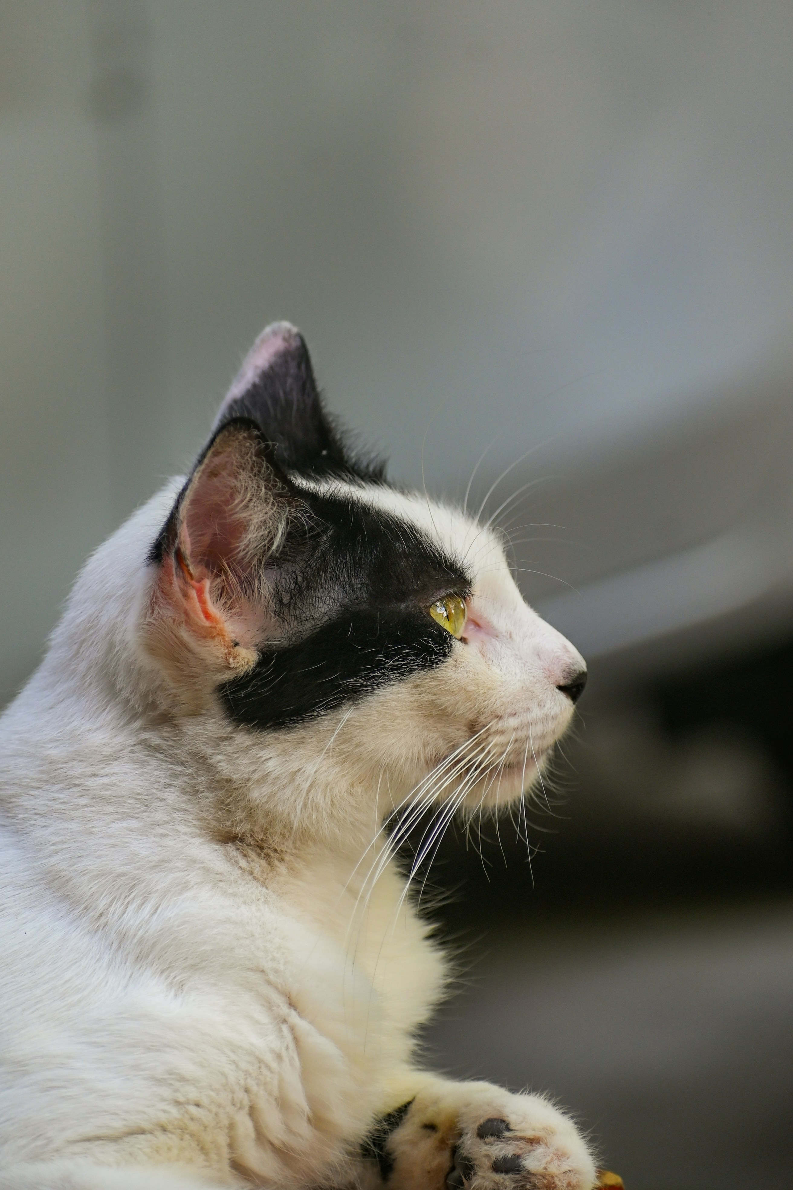 Photo by guzman123456