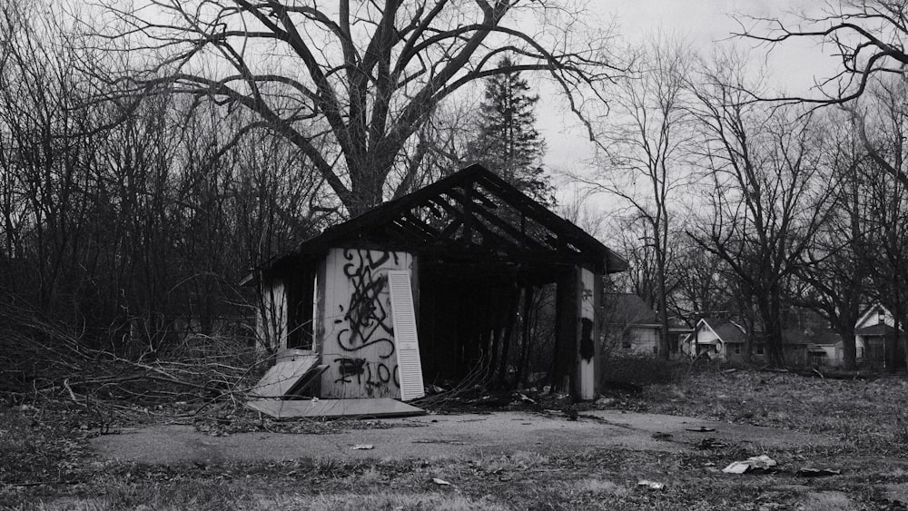 a black and white photo of a shack in the woods
