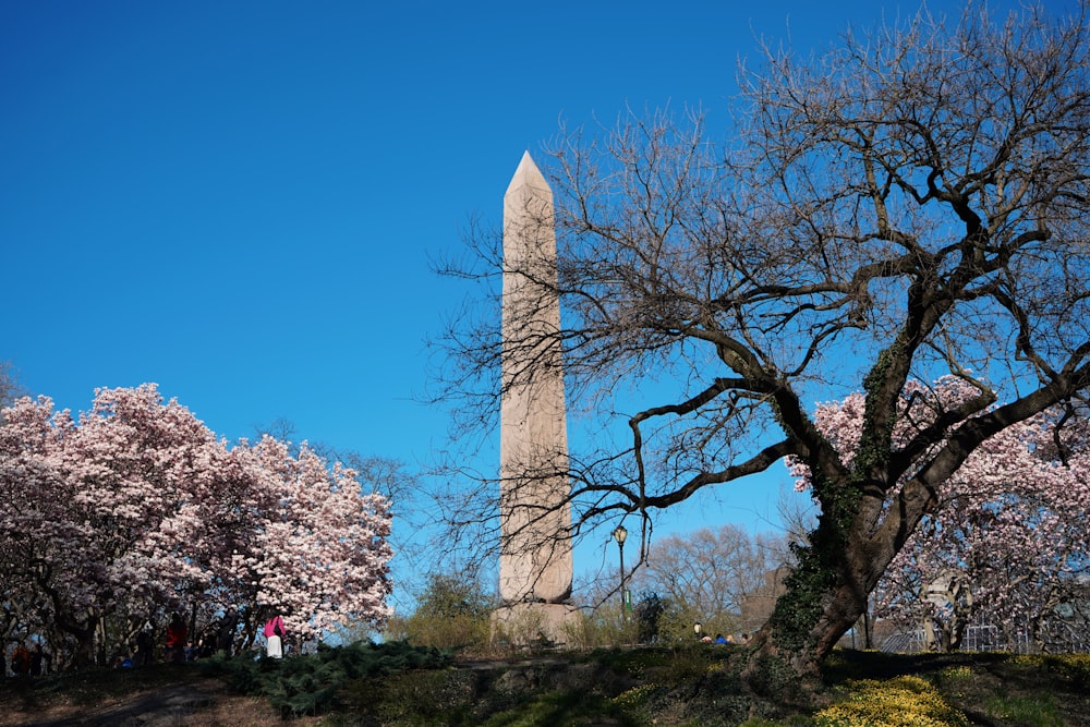a tall obelisk in the middle of a park