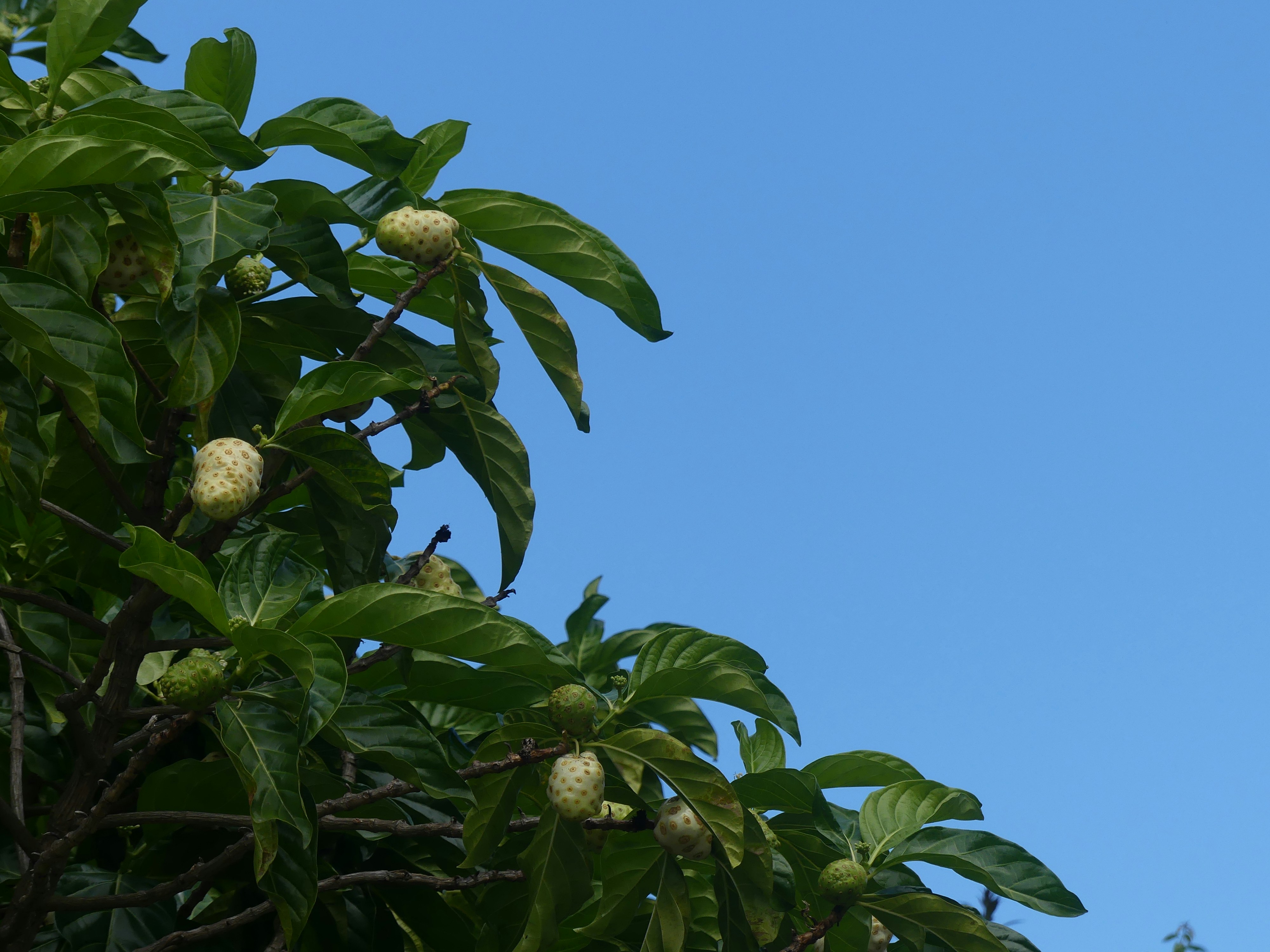 Photo by teagancross