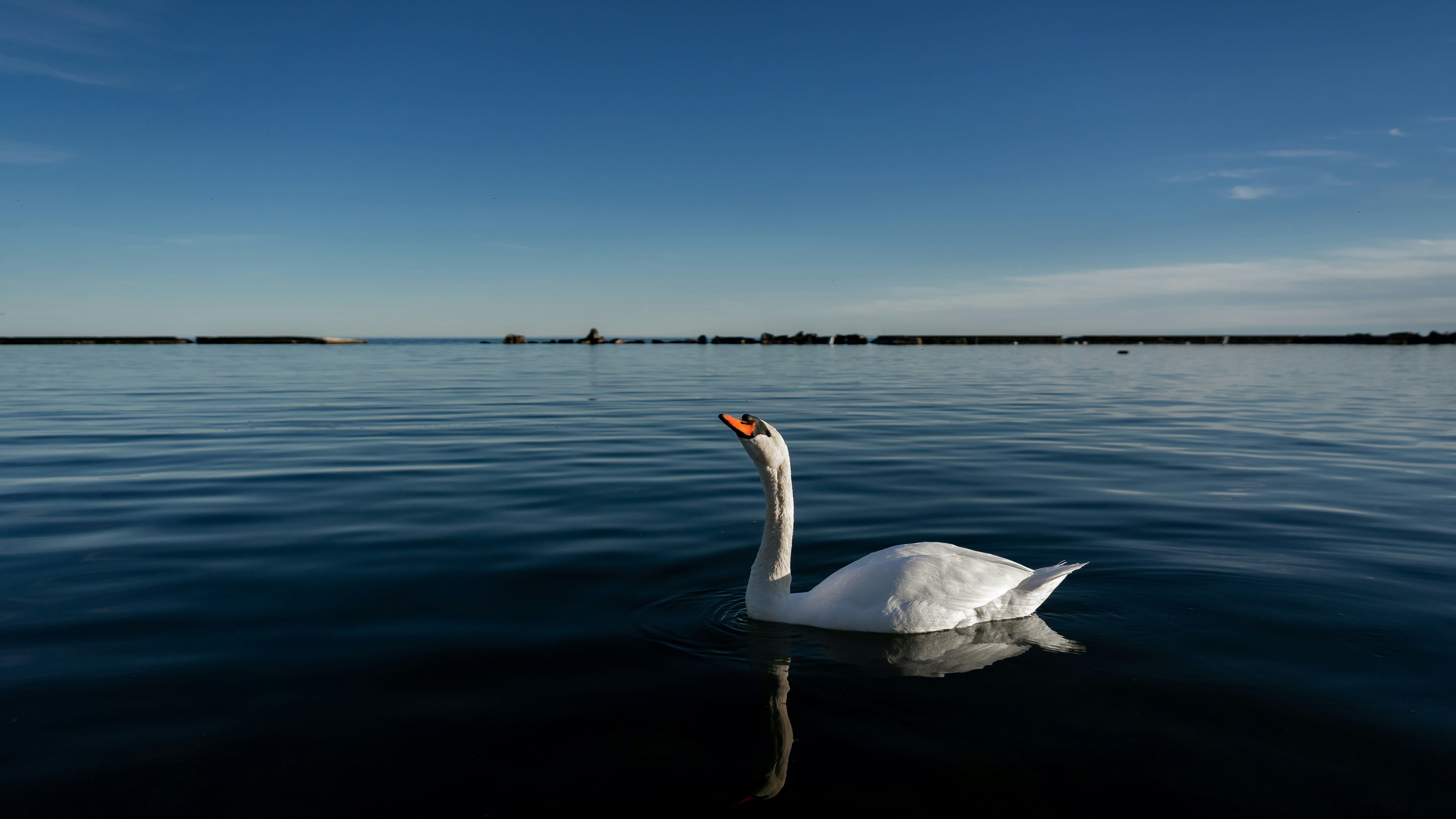 Photo by shubhamsharan