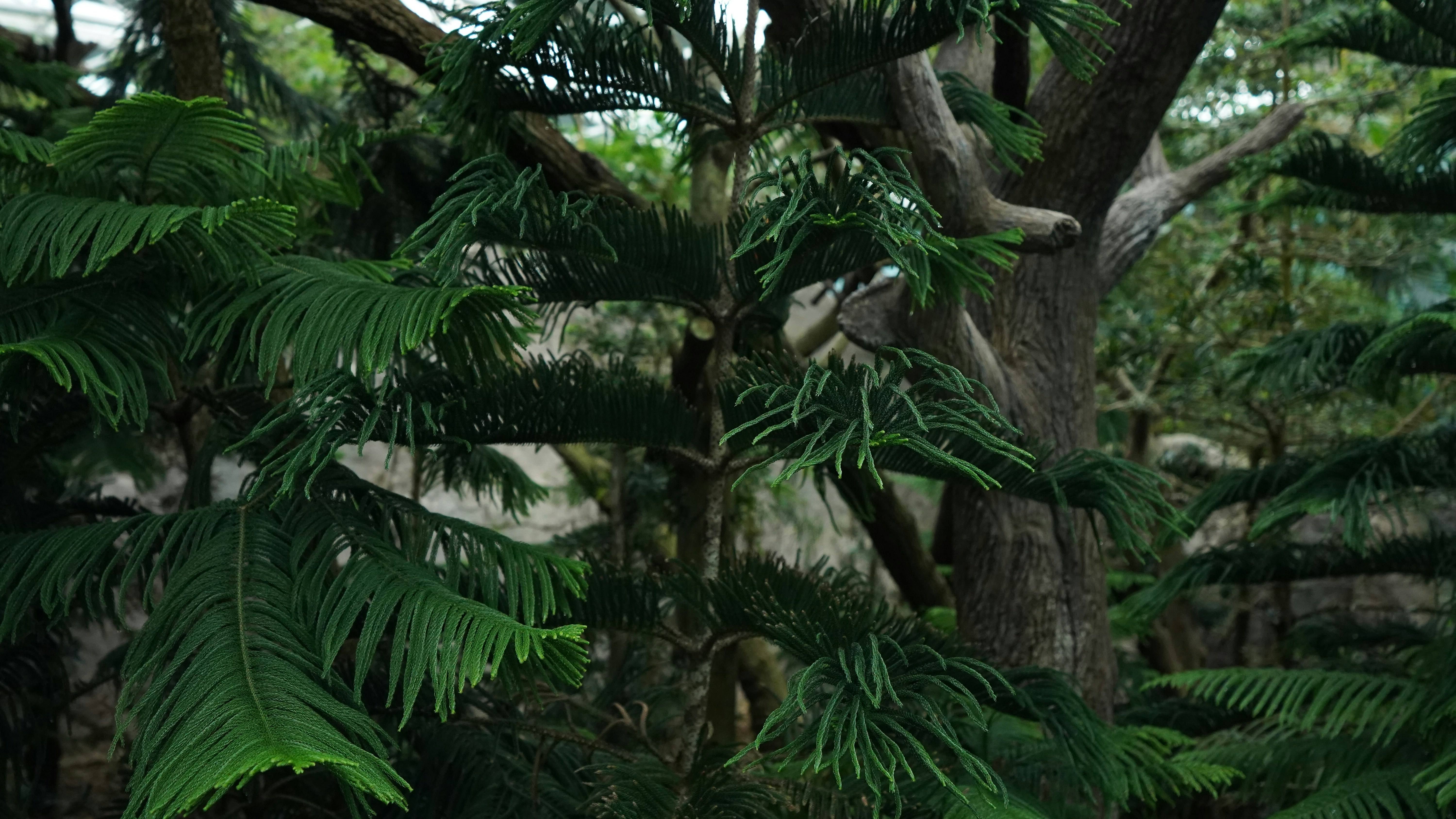 Photo by maryanntoinette