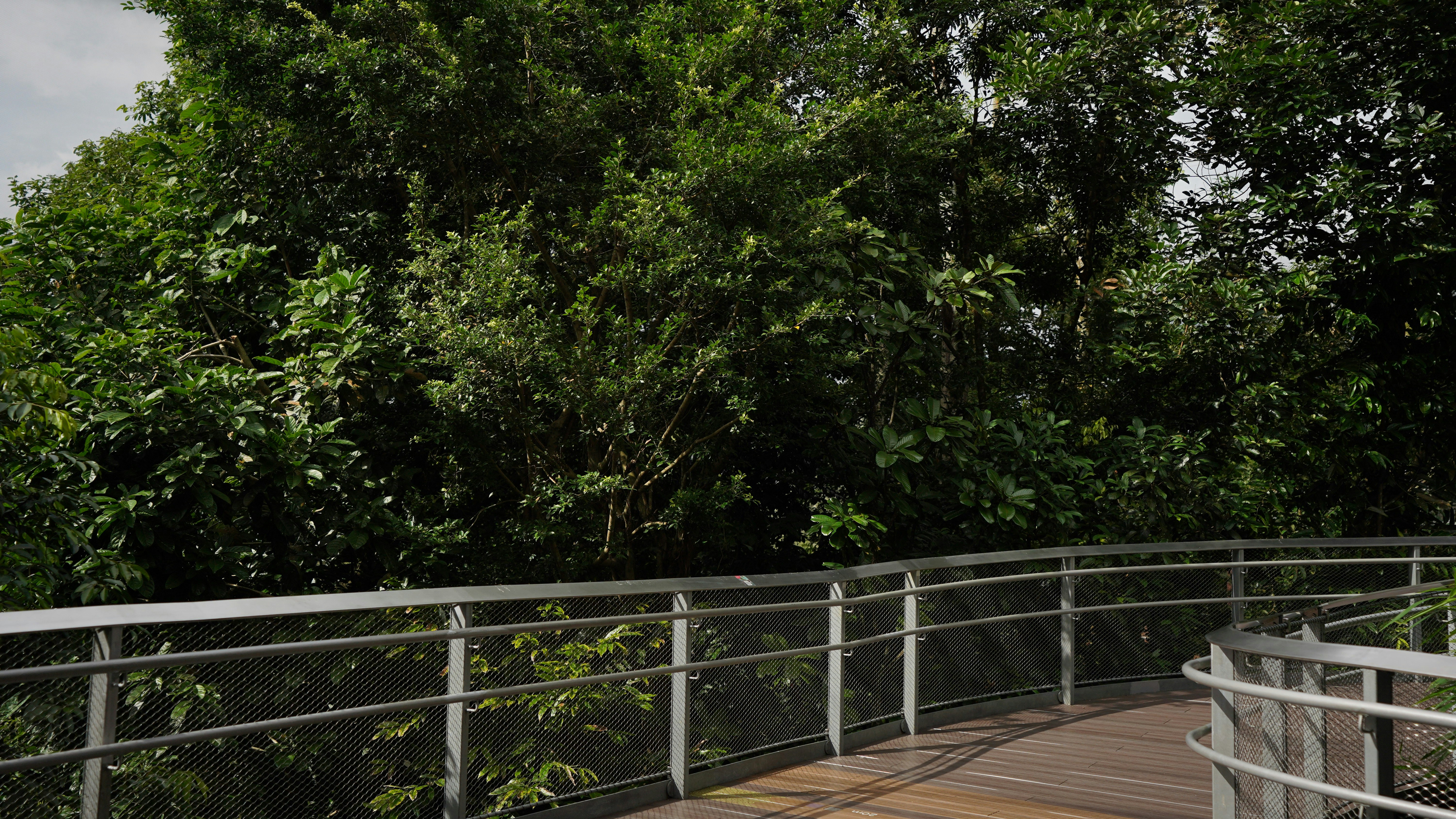 Photo by maryanntoinette