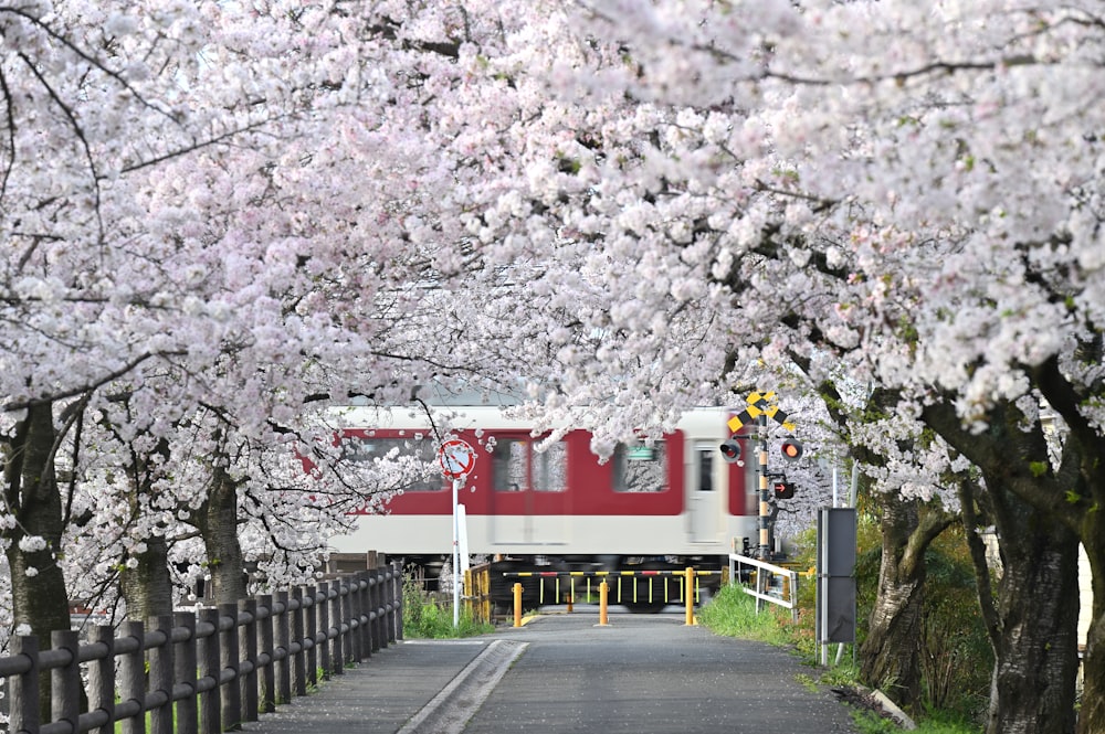 a red and white train traveling down train tracks next to trees