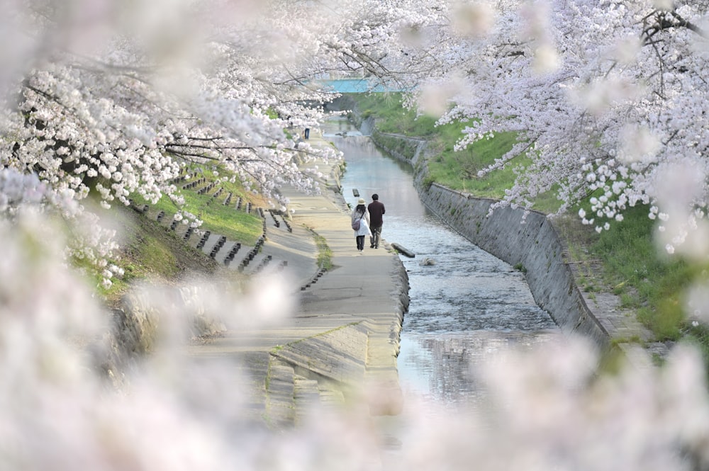 two people walking down a path next to a river