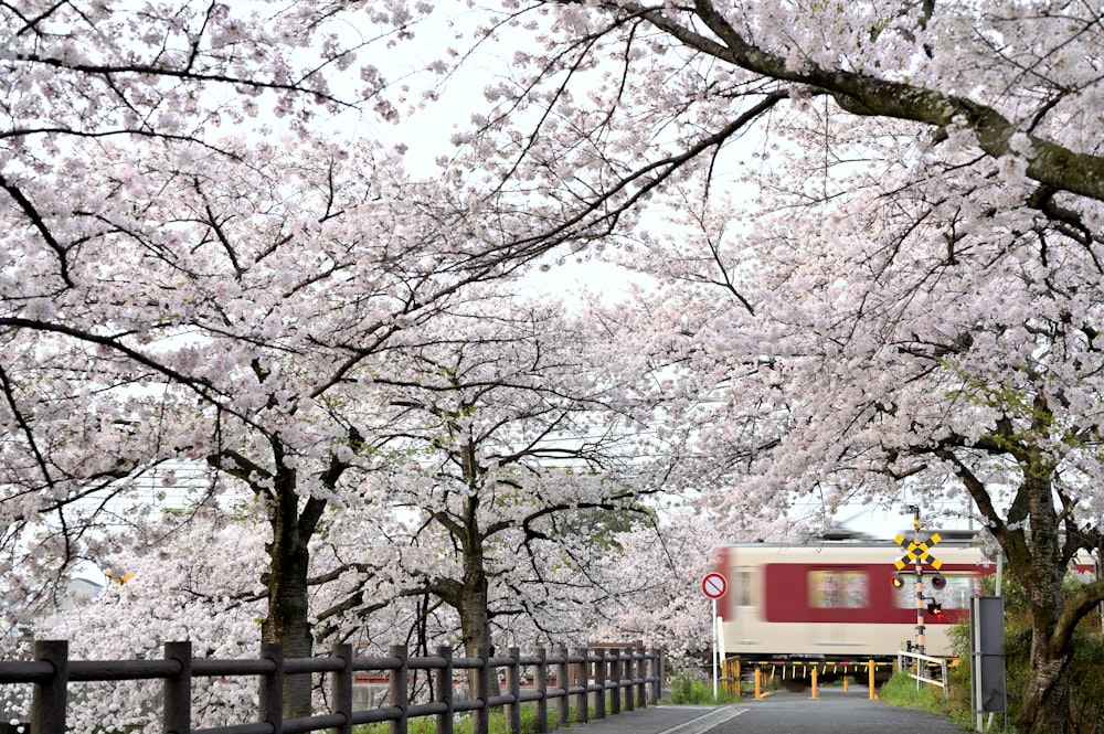 a red and white train traveling down a tree lined road