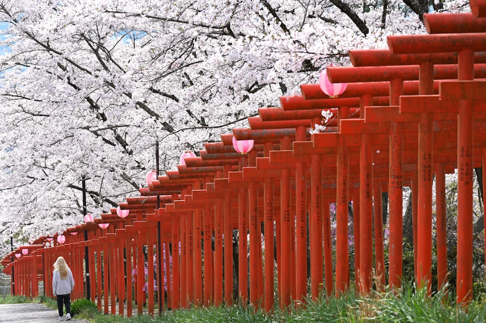 a person walking down a path lined with red gates