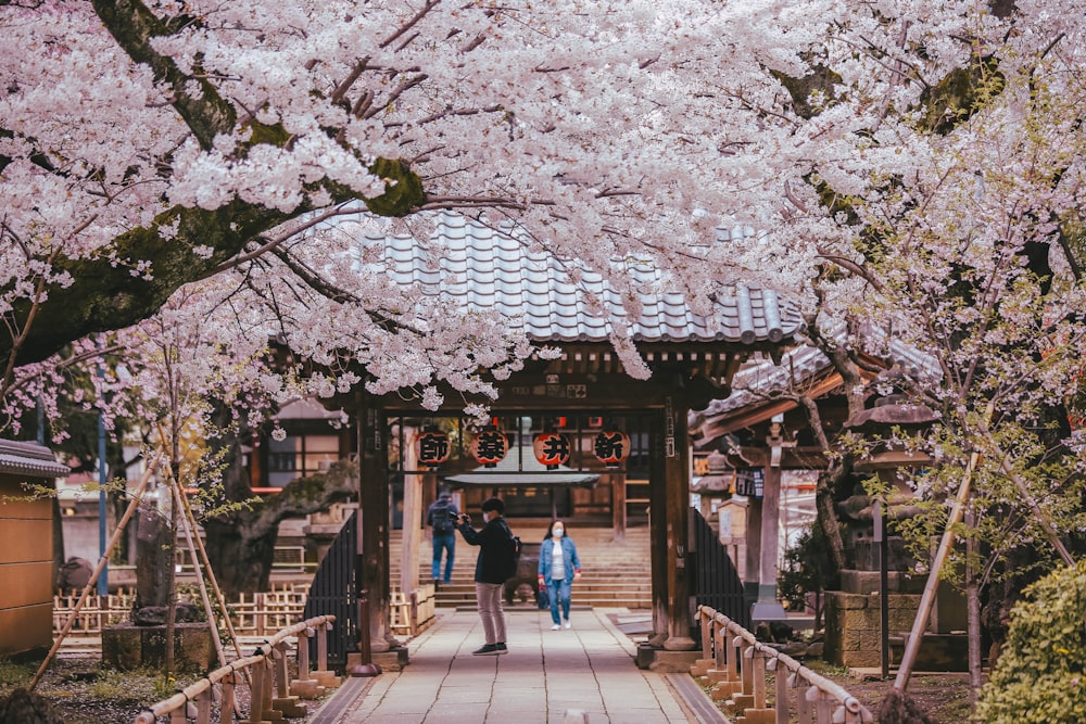 a group of people walking across a bridge under cherry blossom trees