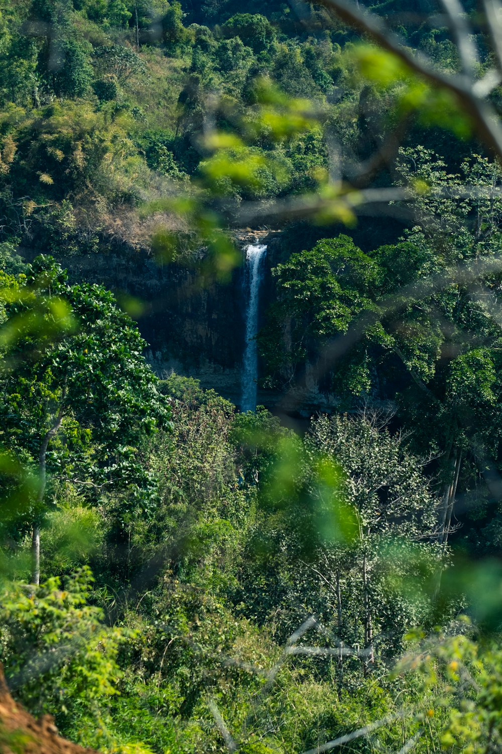 a large waterfall in the middle of a forest