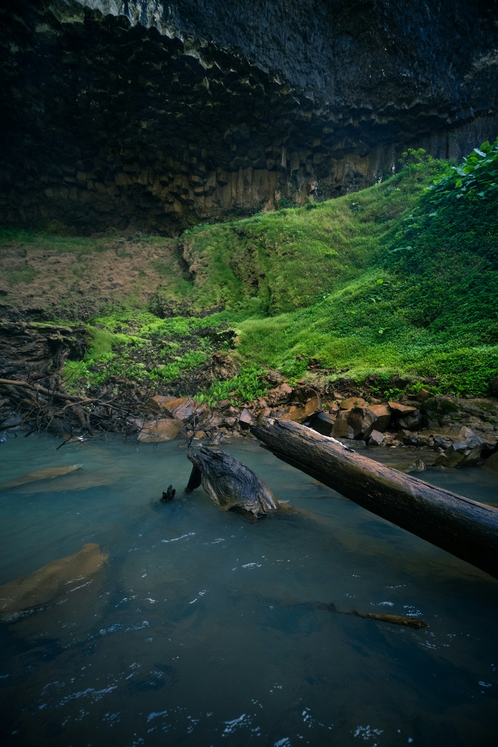 a large log in the middle of a body of water