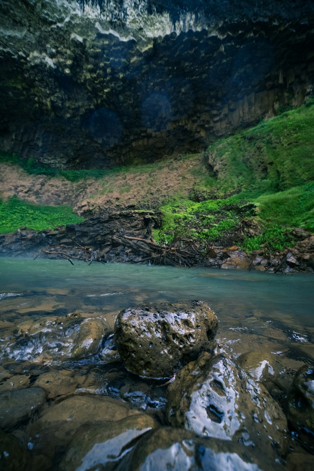 a stream running through a lush green forest