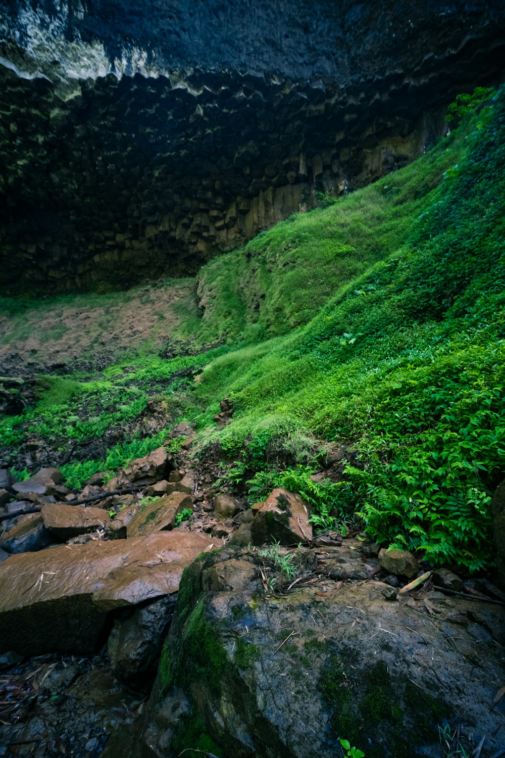 a rocky area with green grass and rocks