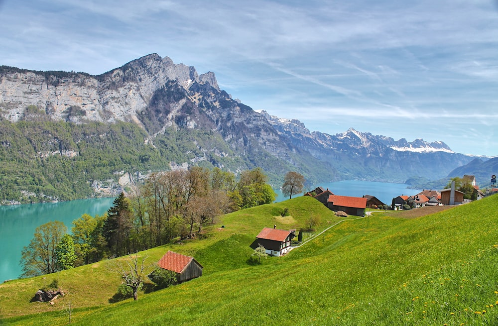 a scenic view of a green hillside with a lake and mountains in the background