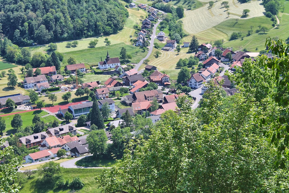 a village nestled in a valley surrounded by trees