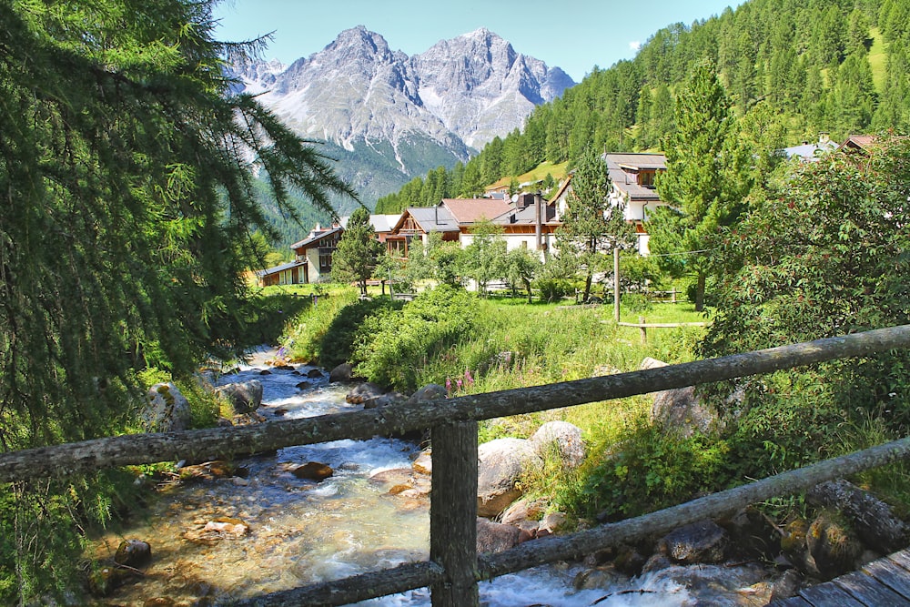 a river running through a lush green forest