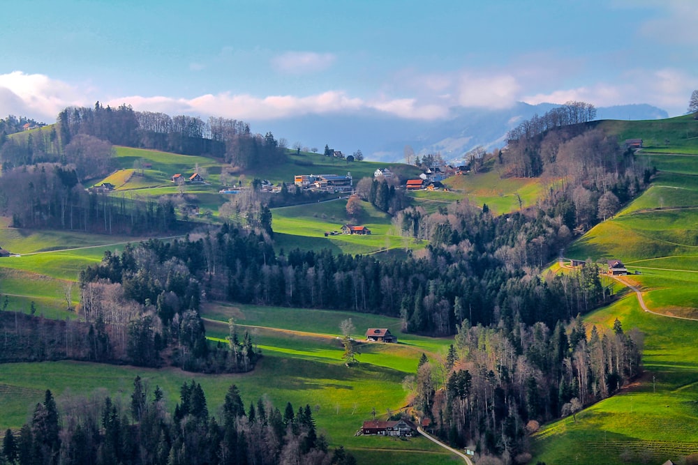 a lush green hillside covered in lots of trees