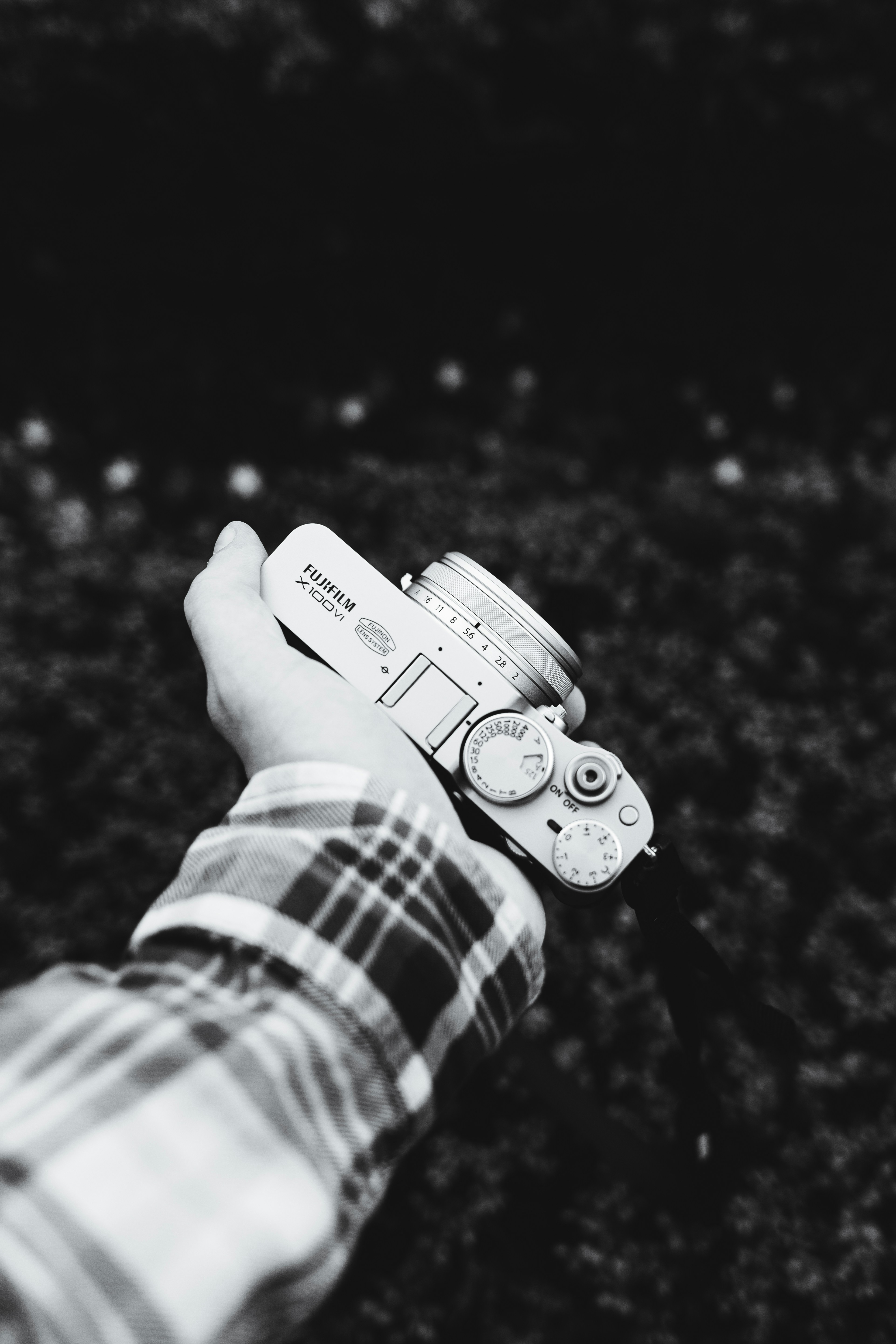 Photo by nikita_pishchugin