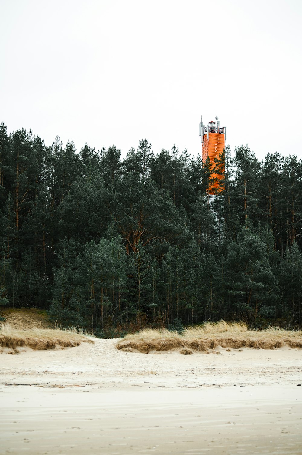 a tall tower in the middle of a forest