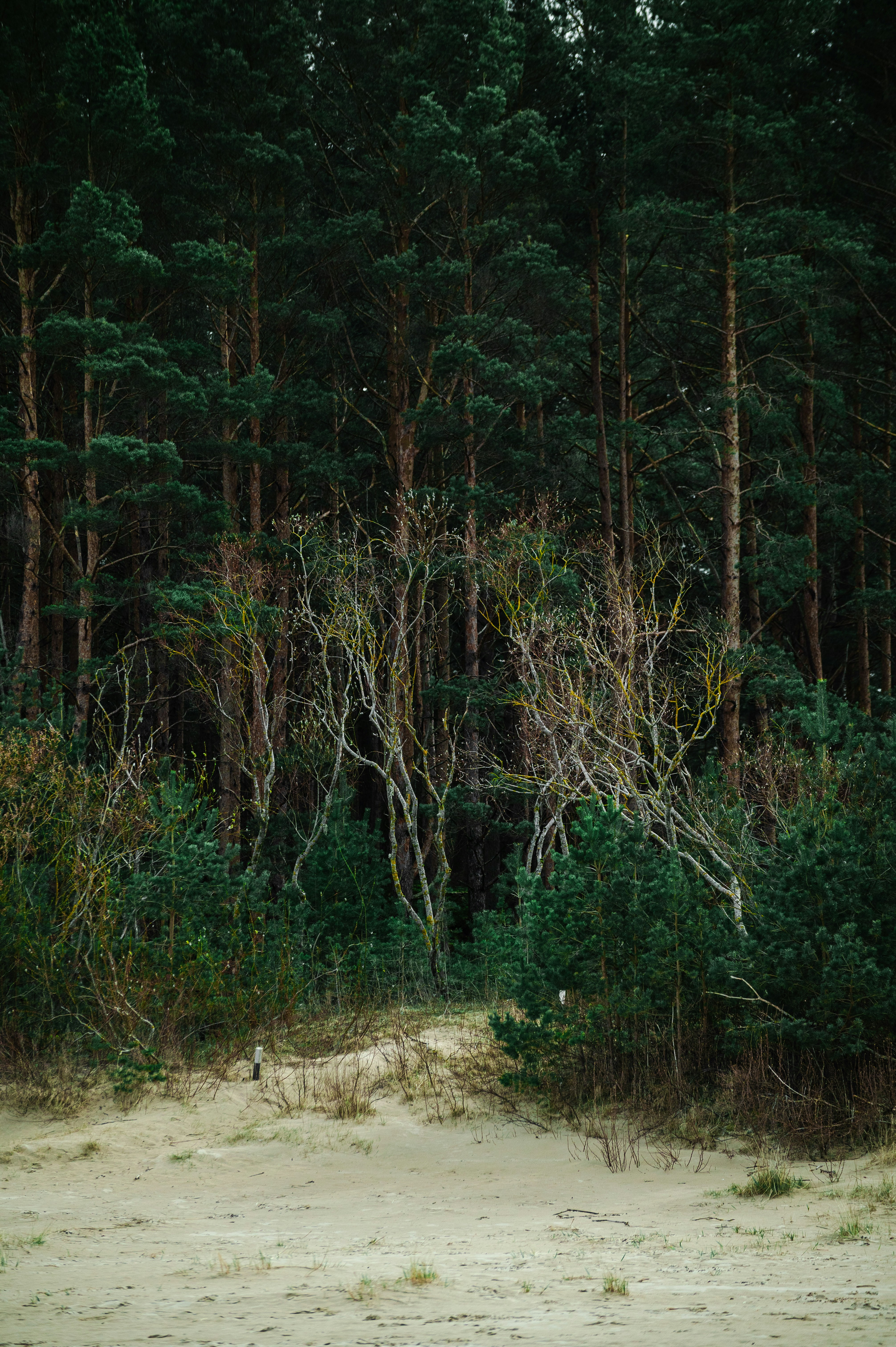 Photo by christina_kozak