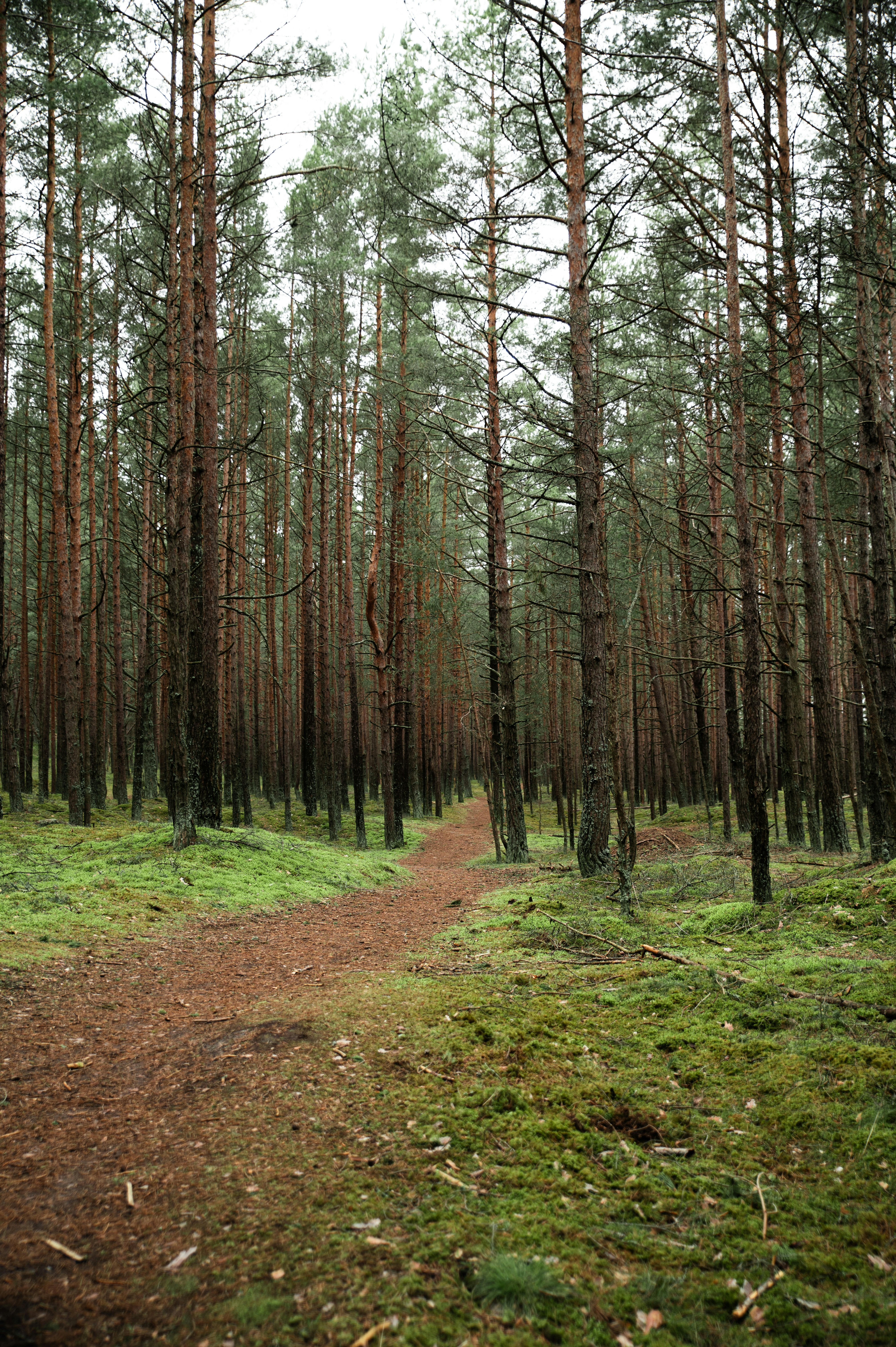 Photo by christina_kozak