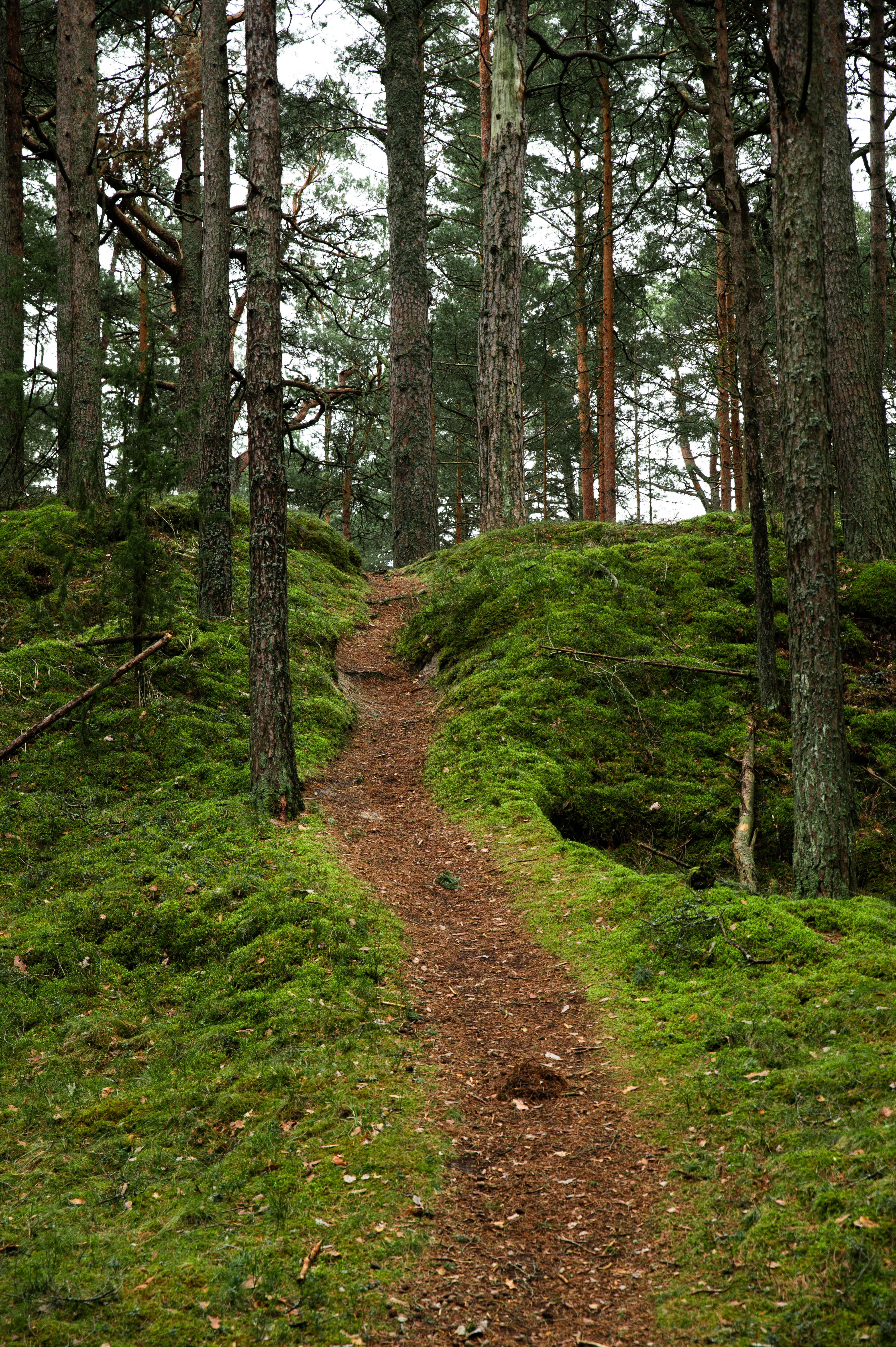 Photo by christina_kozak