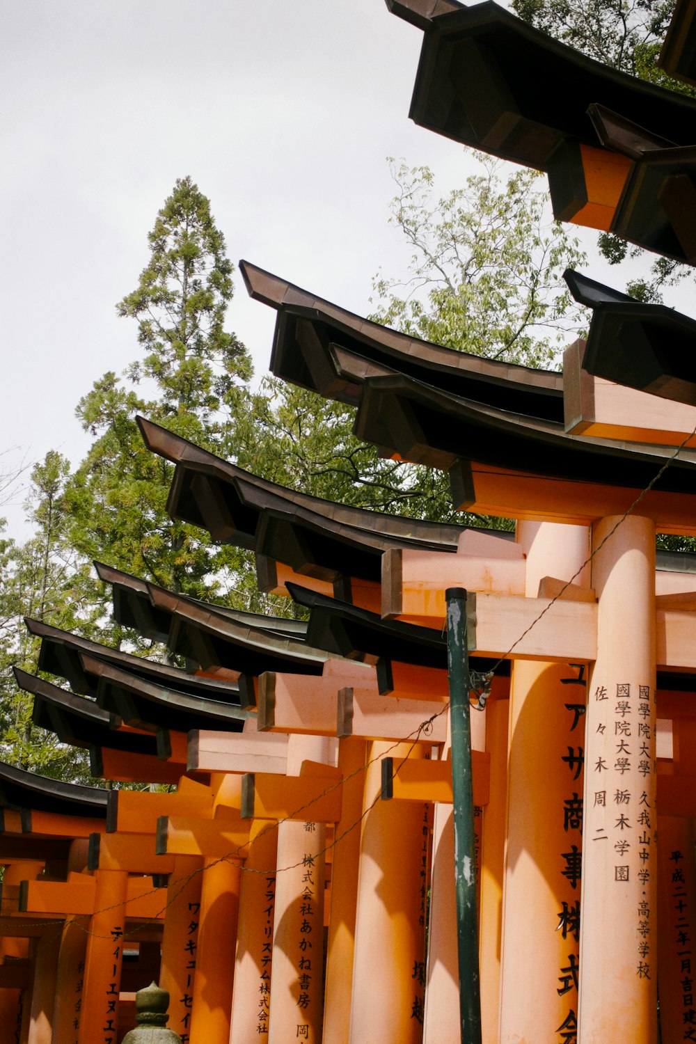 a row of orange pillars with asian writing on them