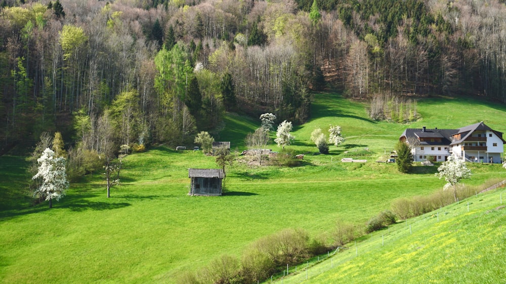 a house in the middle of a lush green field