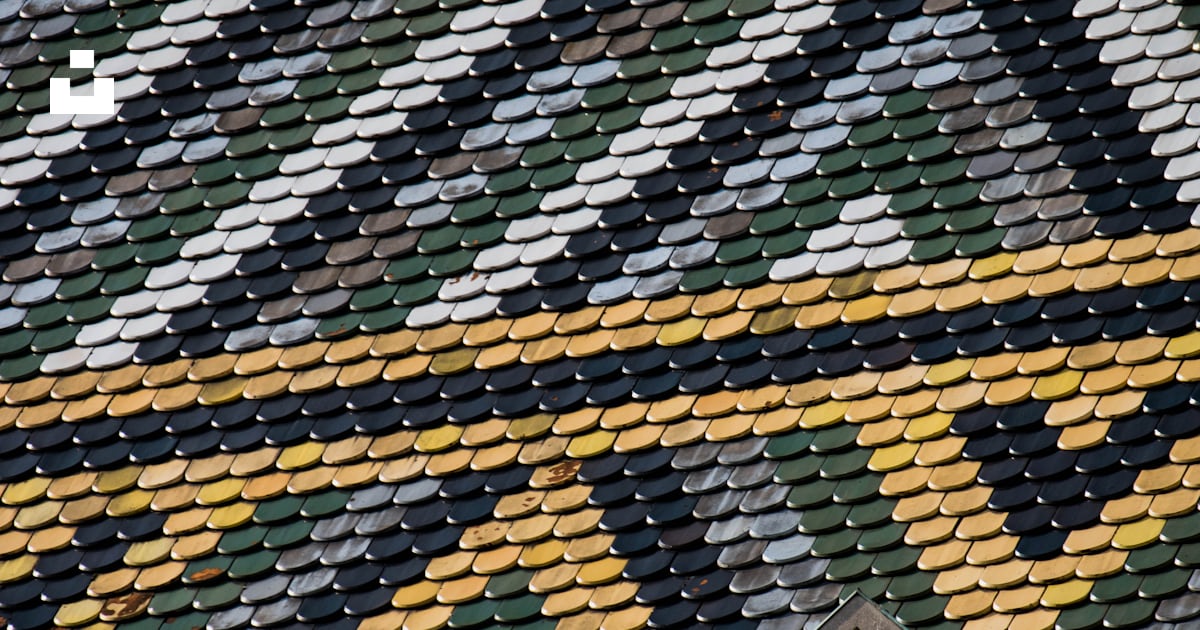 Addressing Pest Issues During Commercial Roof Replacement In Sydney