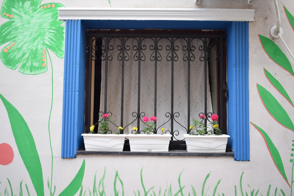 a window with two flower boxes on the ledge