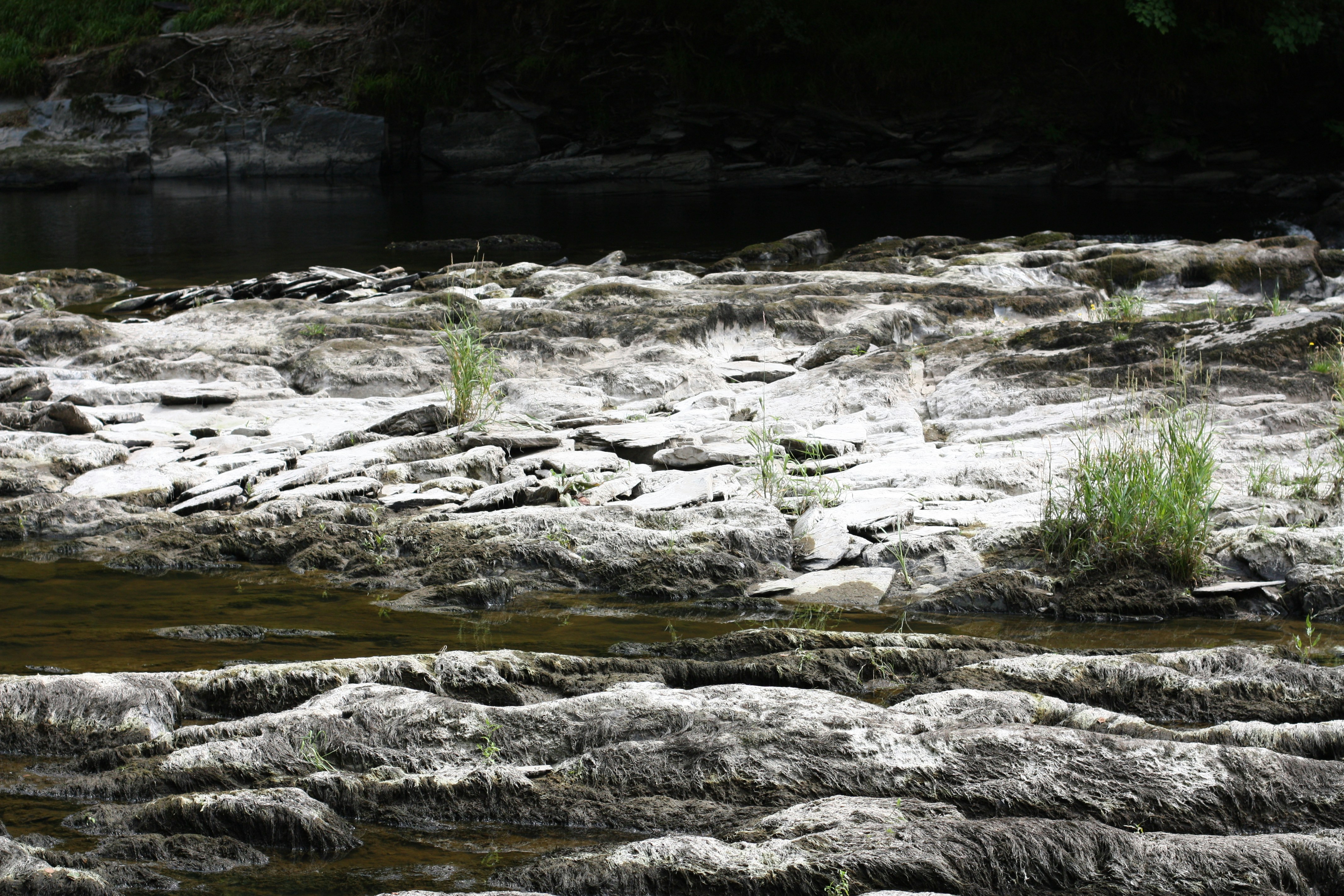 Photo by johnceellis