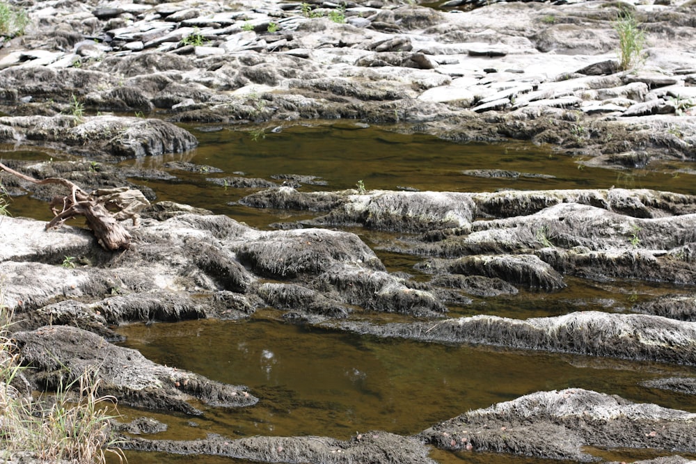 a stream of water running through a rocky area