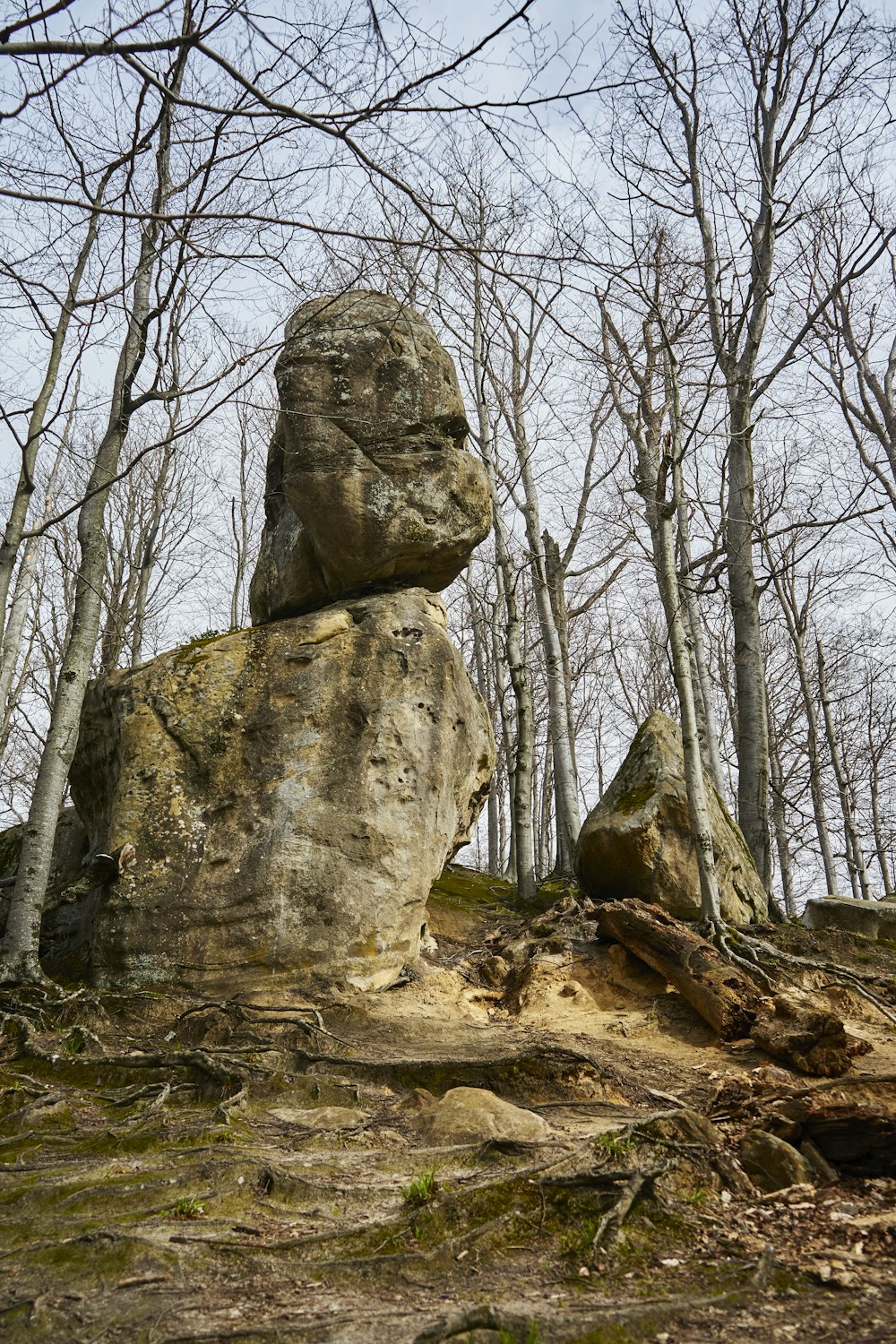 a large rock in the middle of a forest