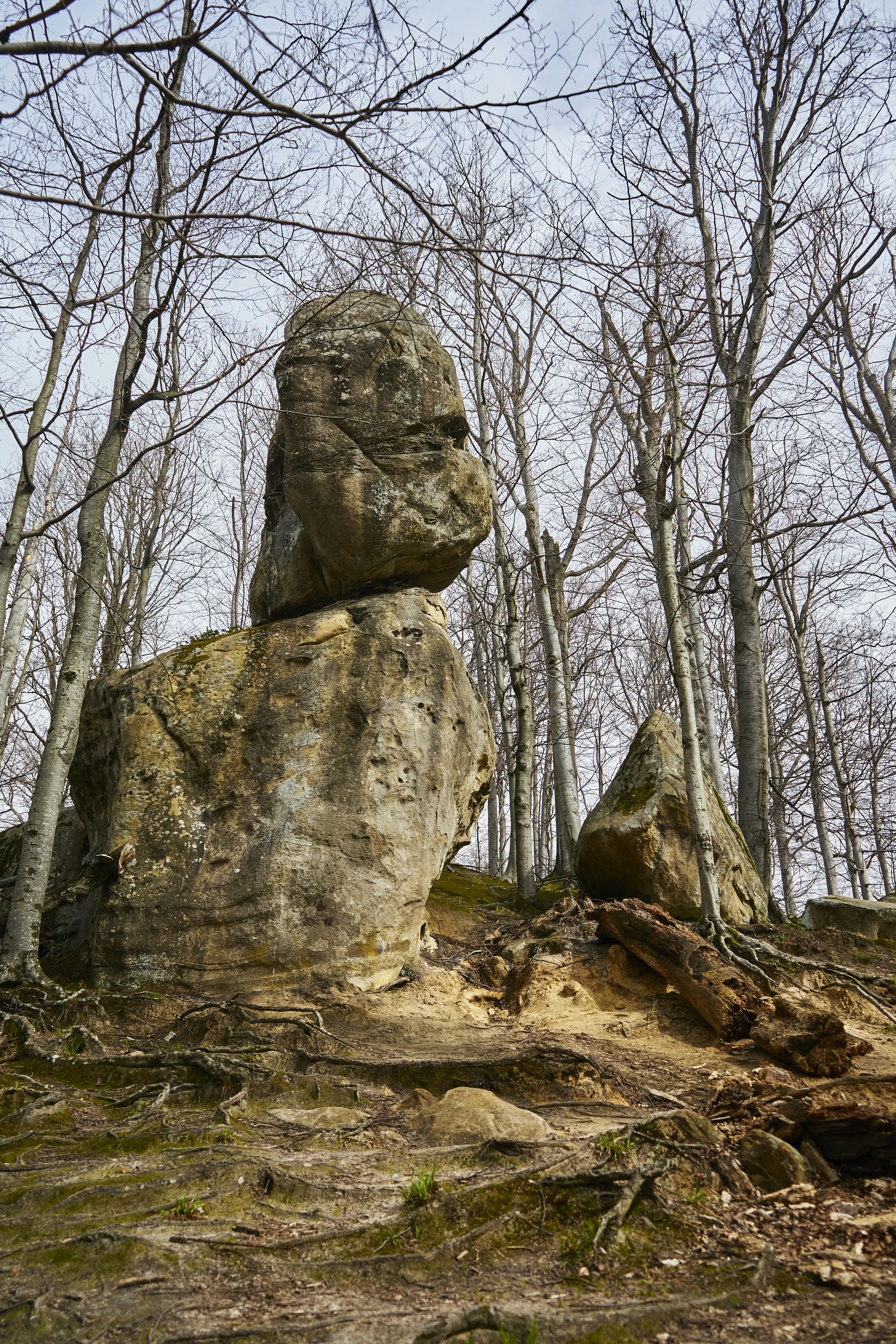 a large rock in the middle of a forest