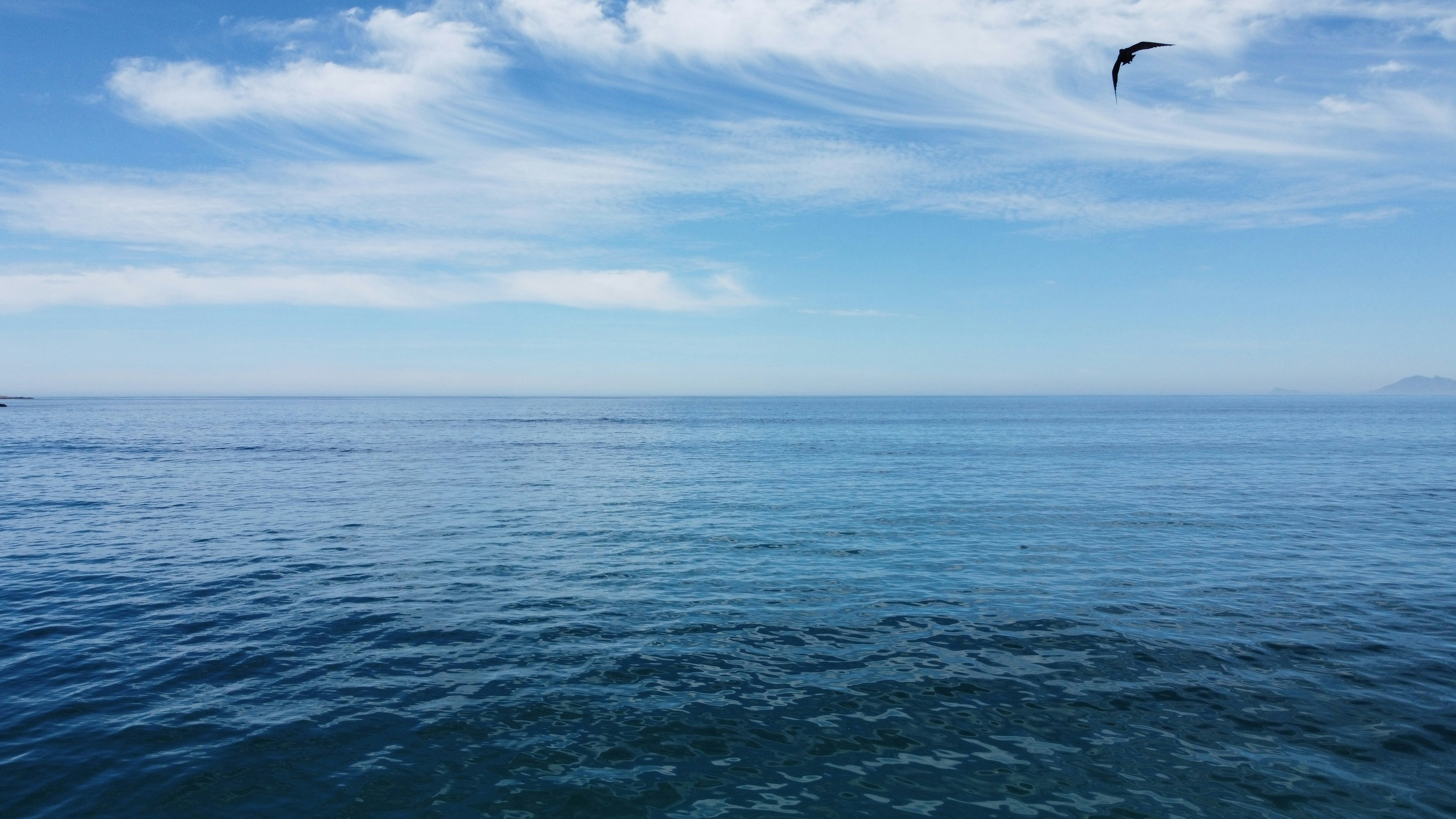 Photo by chris_shorey