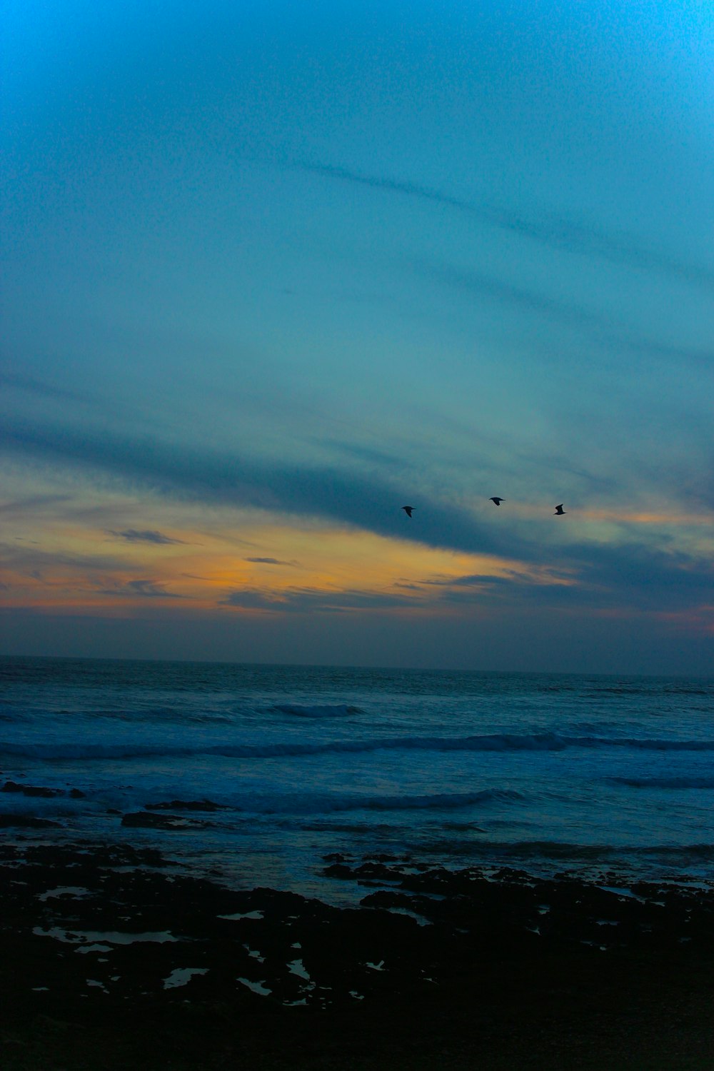 a couple of birds flying over a body of water