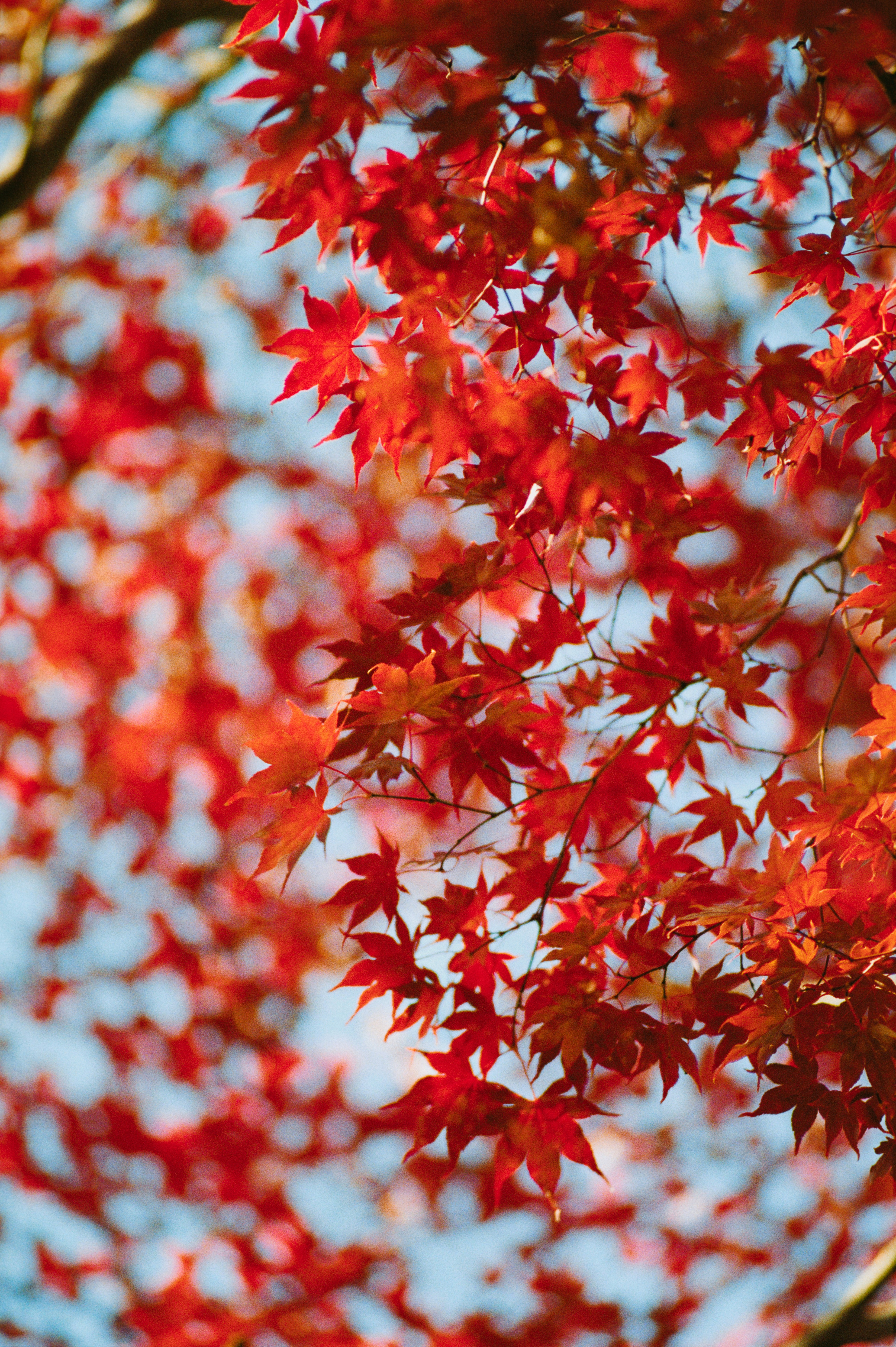 Photo by snakeytales